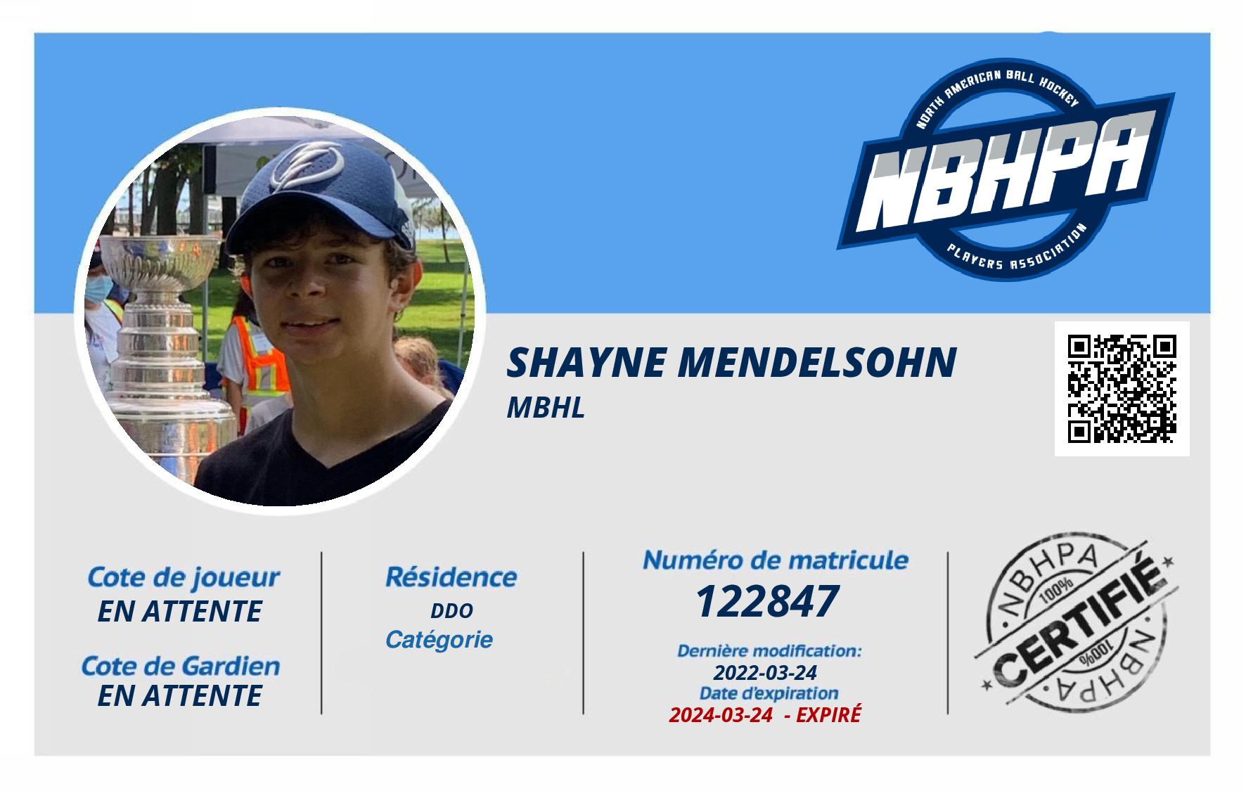 Shayne Mendelsohn 