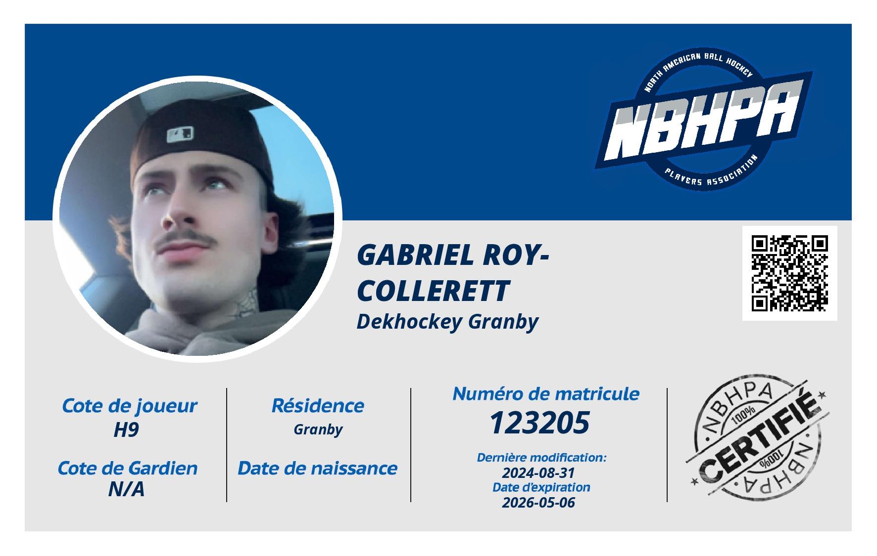 Gabriel Roy-Collerett