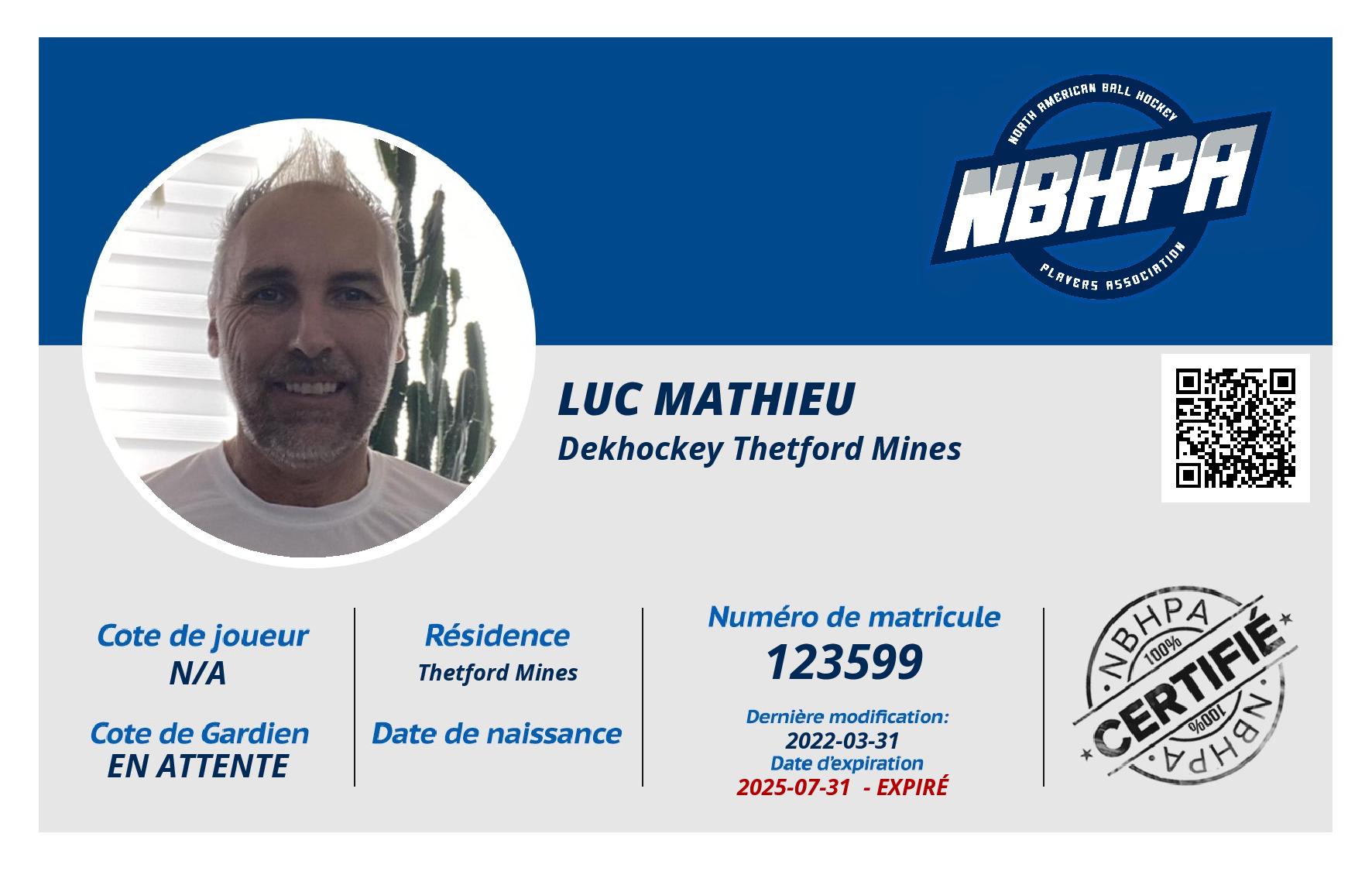 Luc Mathieu