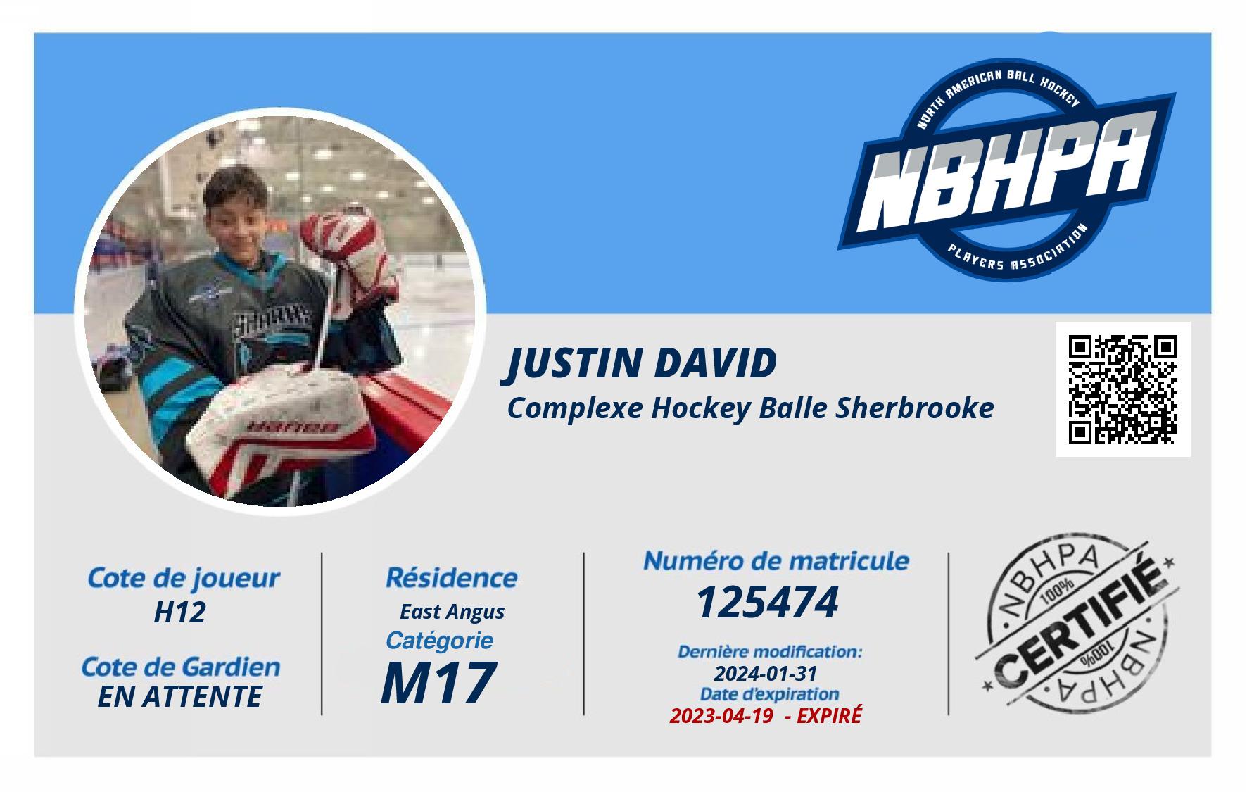 Justin David
