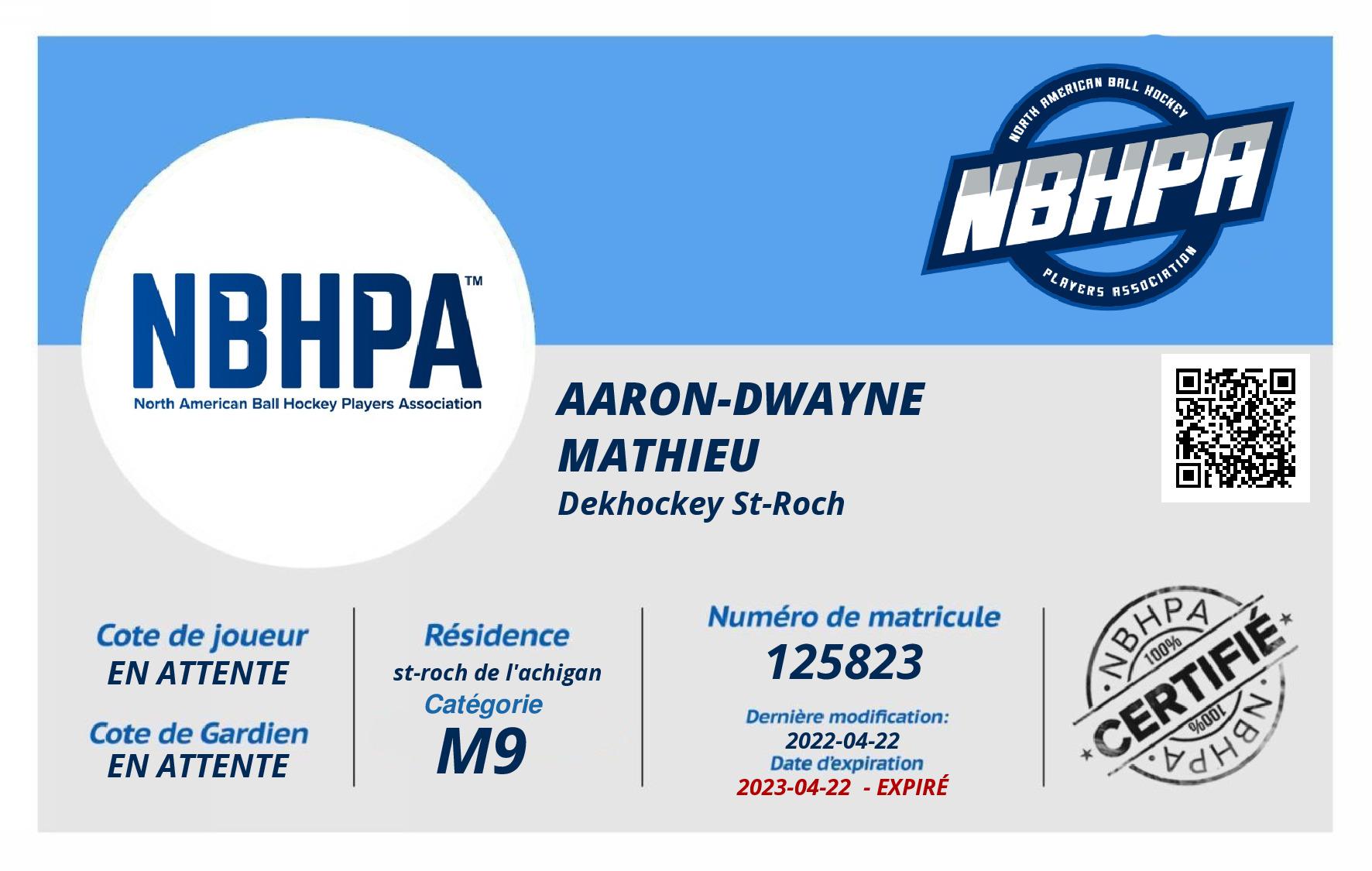 Aaron-Dwayne Mathieu