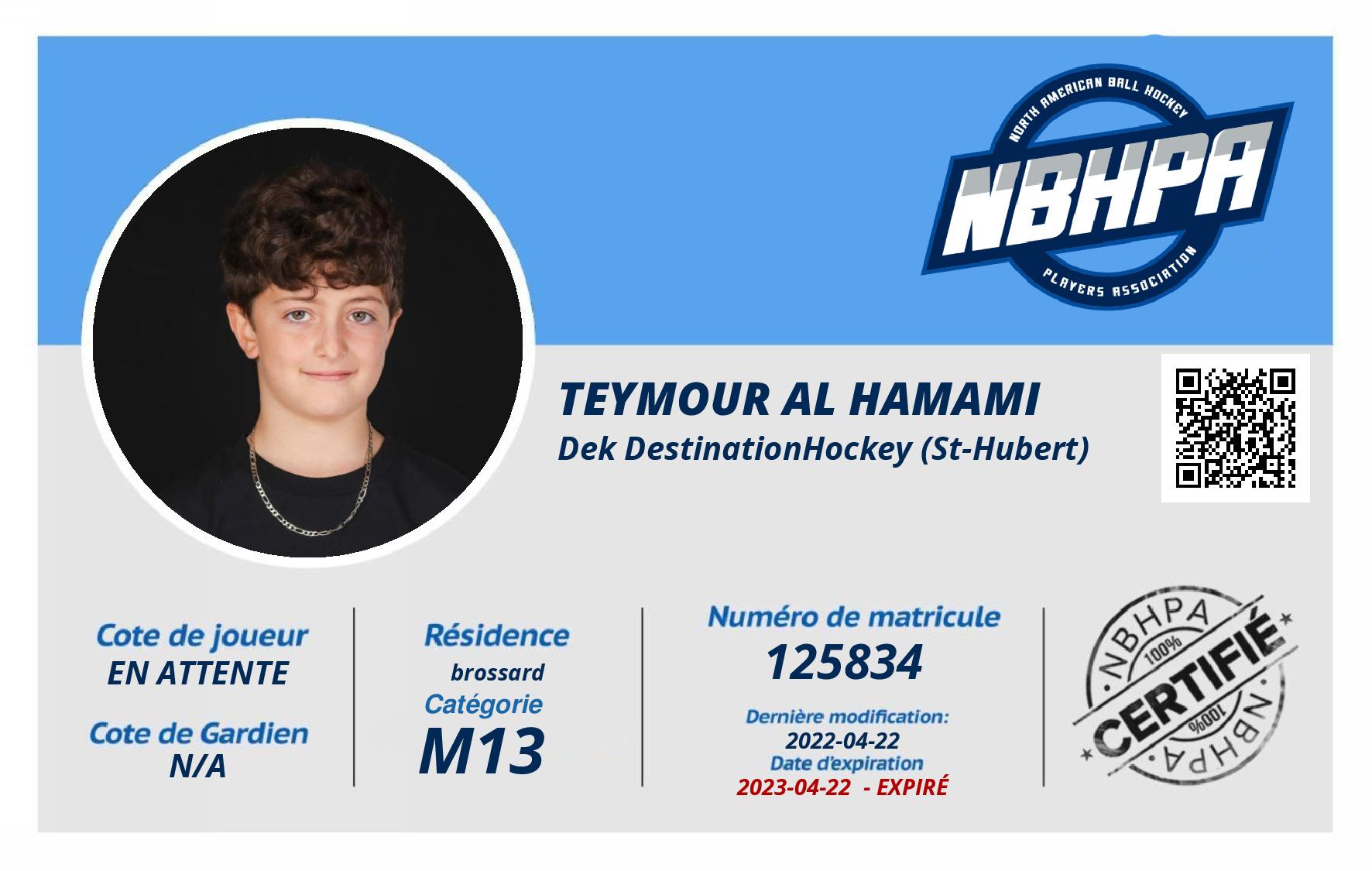 Teymour Al Hamami