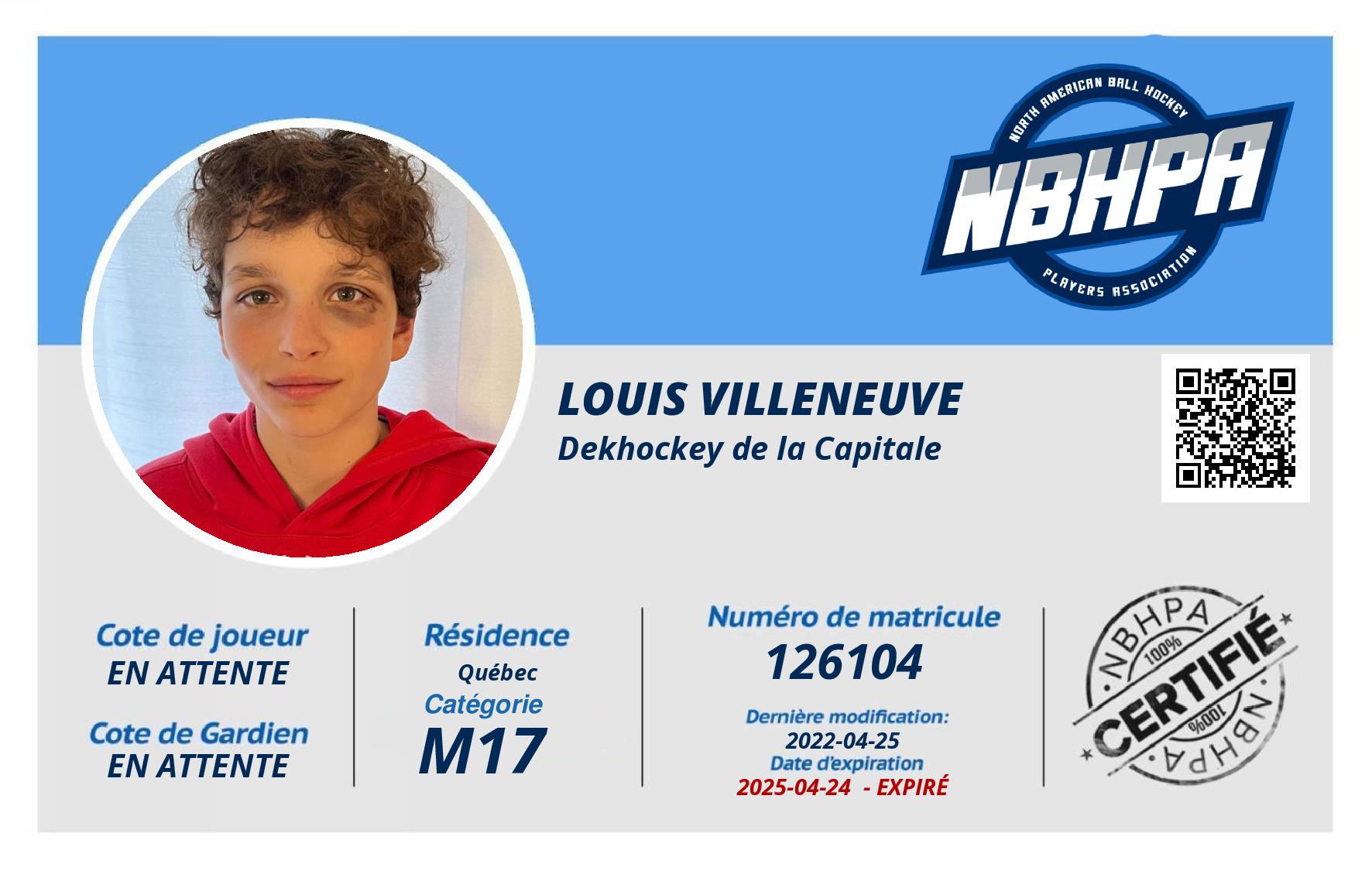 Louis Villeneuve