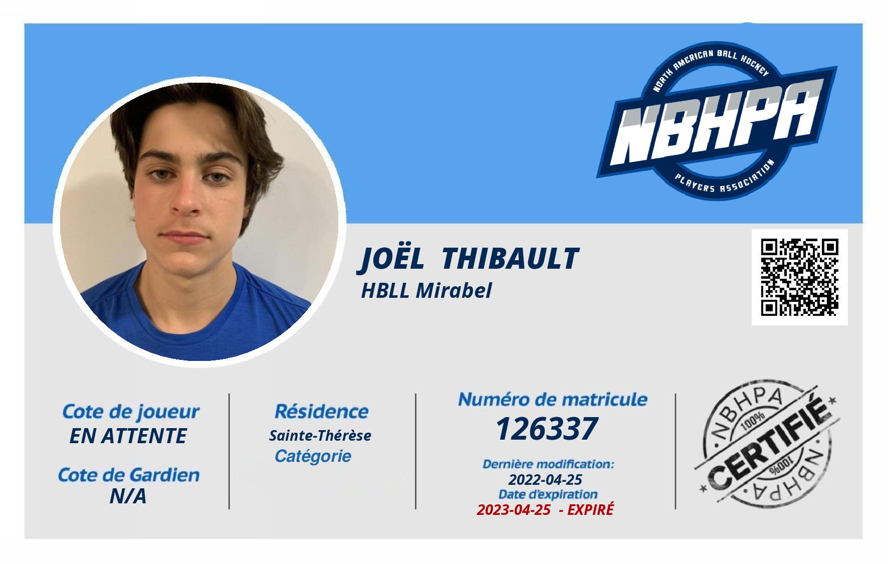 Joël  Thibault