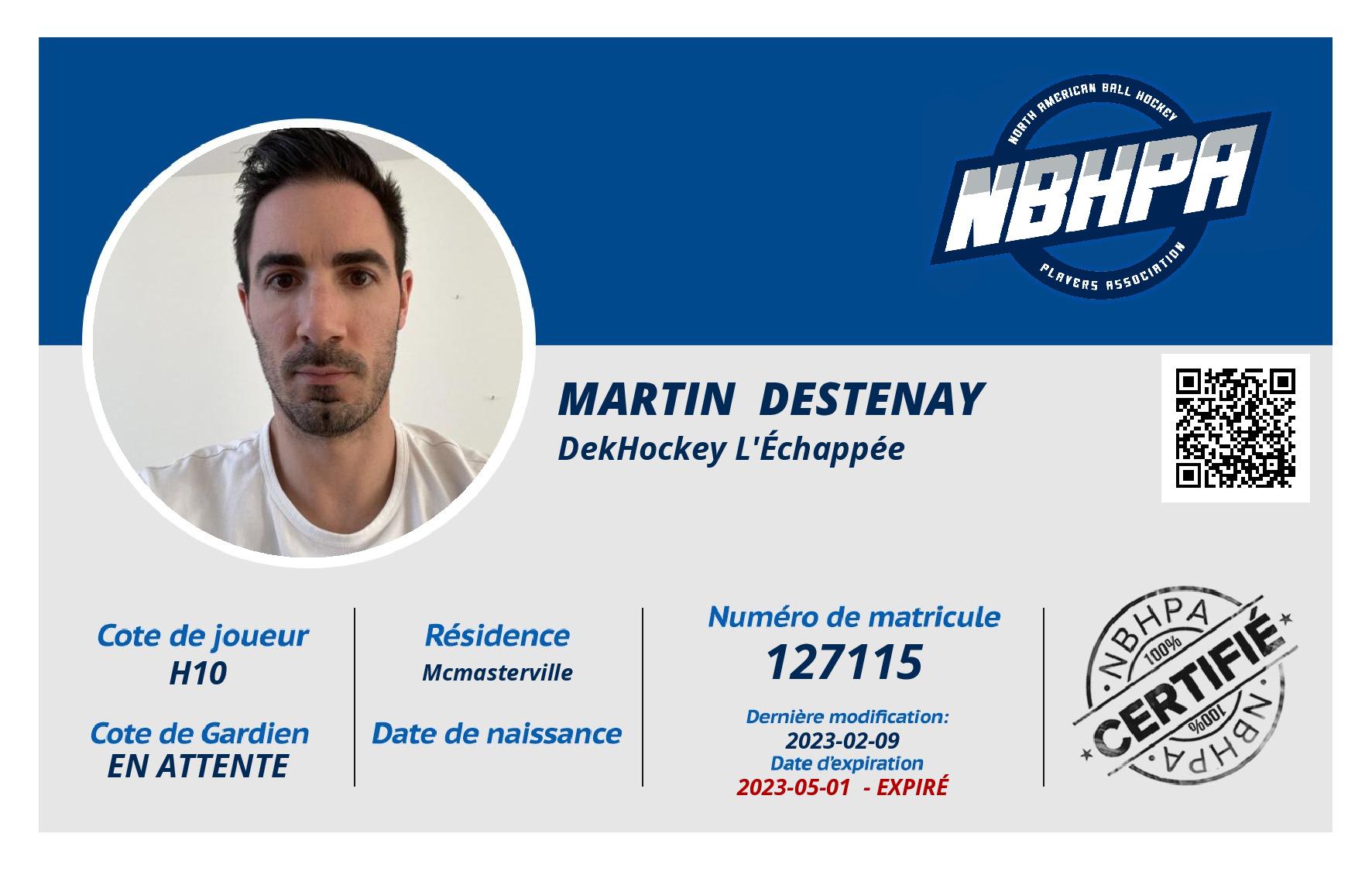 Martin  Destenay