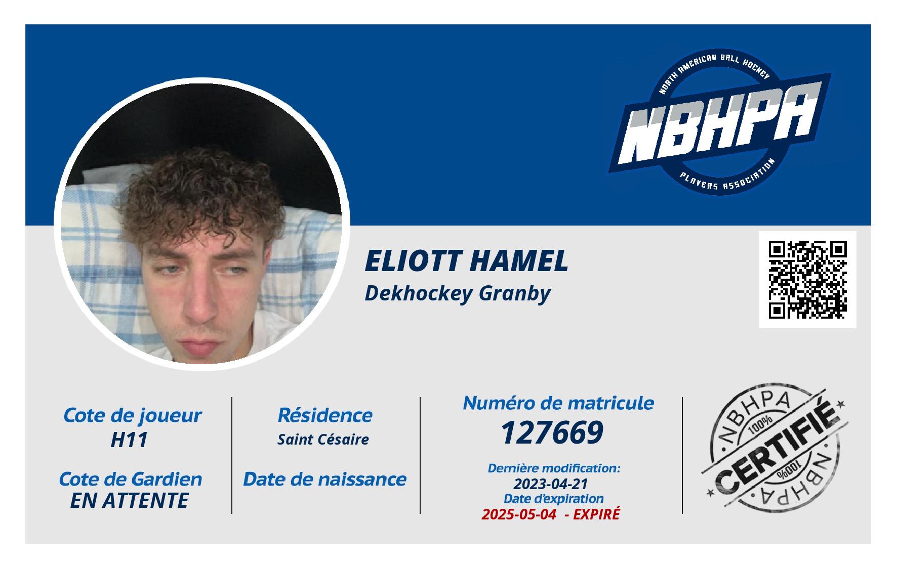 Eliott Hamel