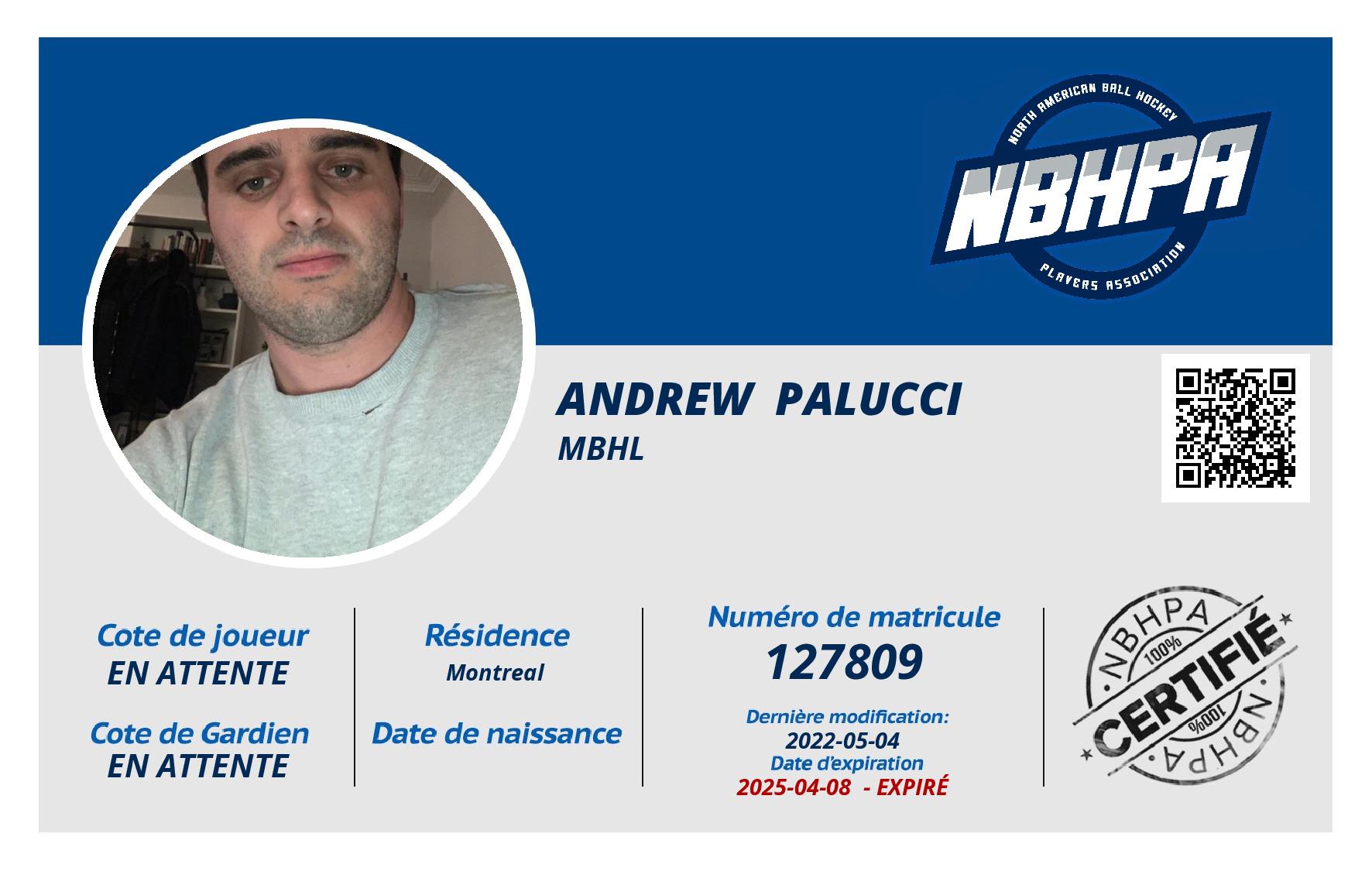 Andrew  Palucci 