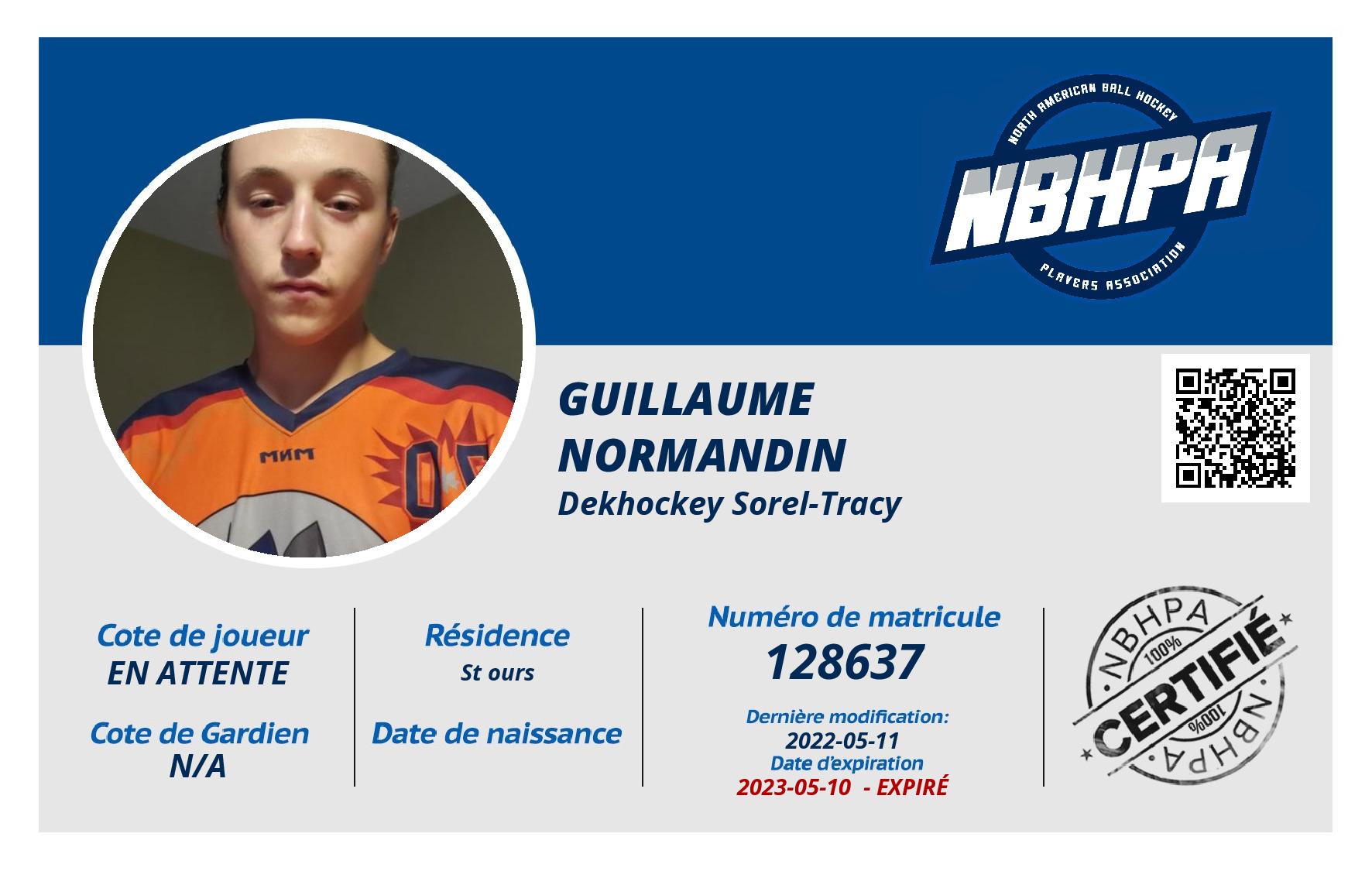 Guillaume  Normandin 