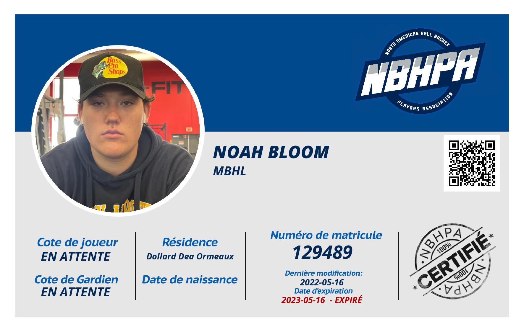 Noah Bloom