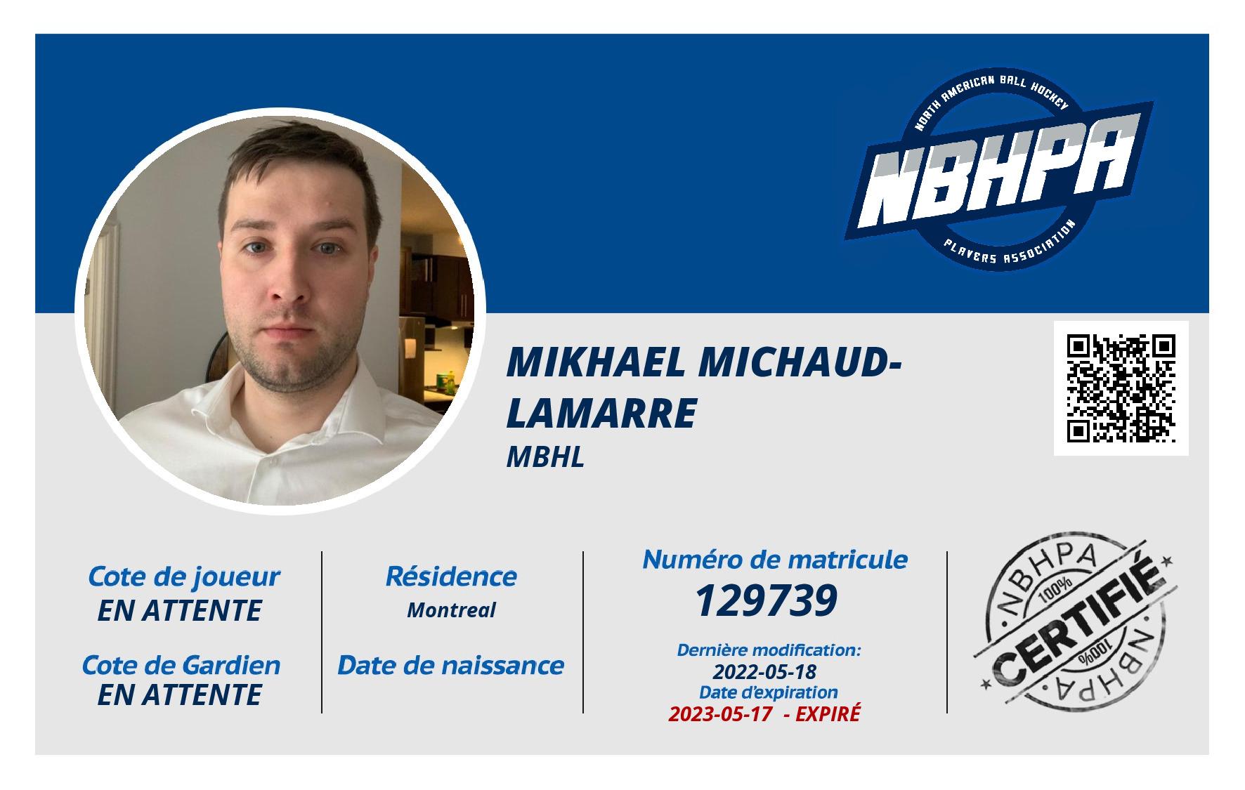 Mikhael Michaud-Lamarre