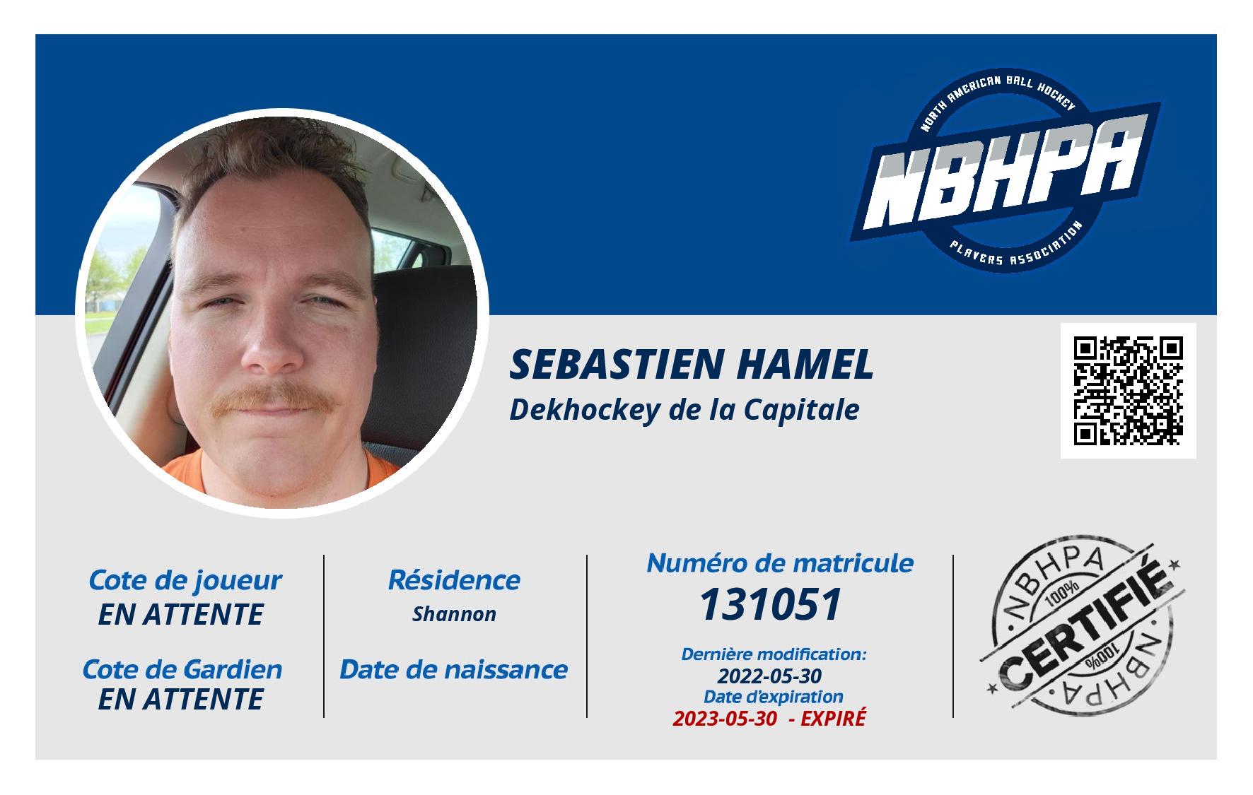 Sebastien Hamel
