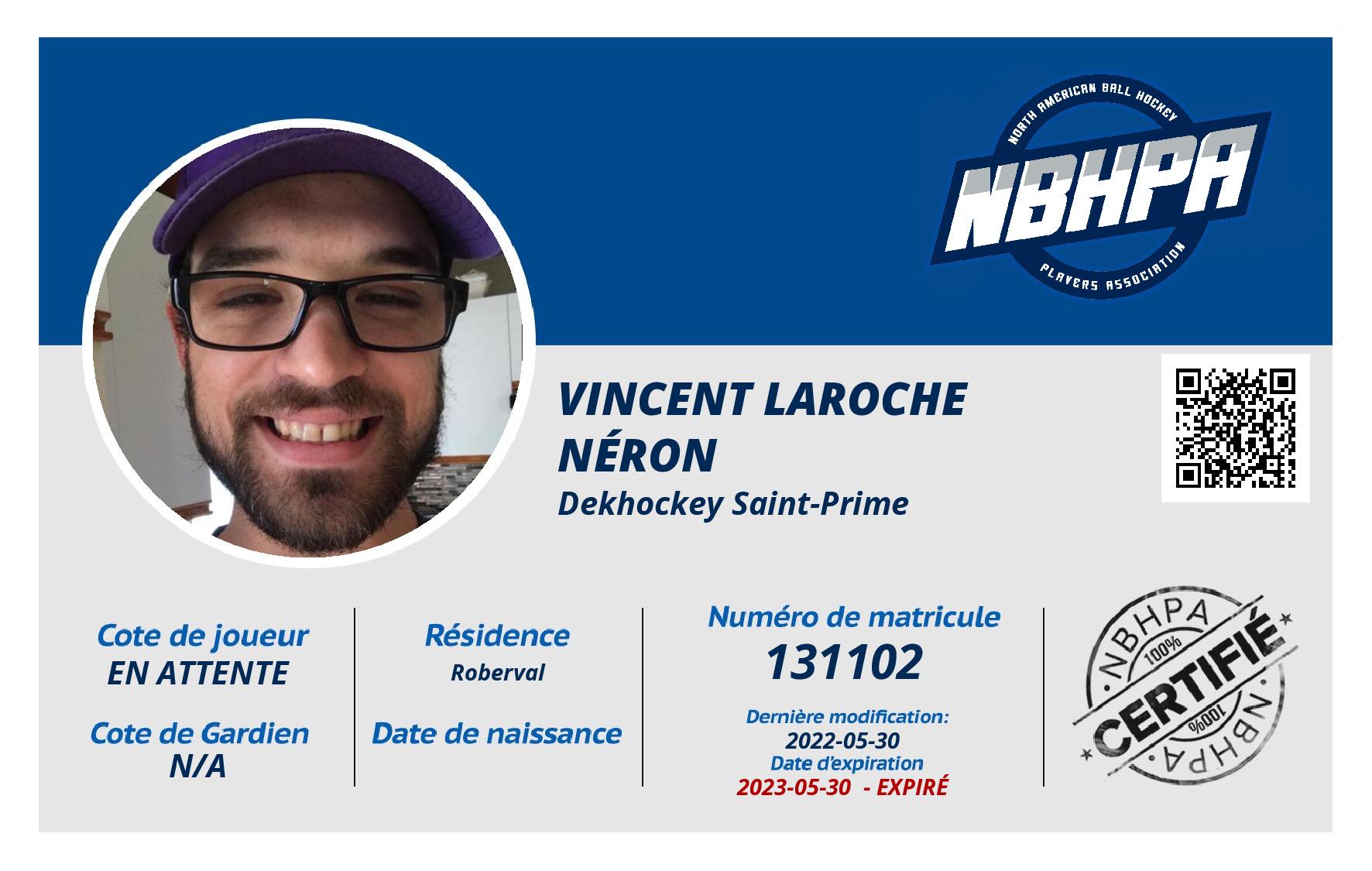 Vincent Laroche Néron