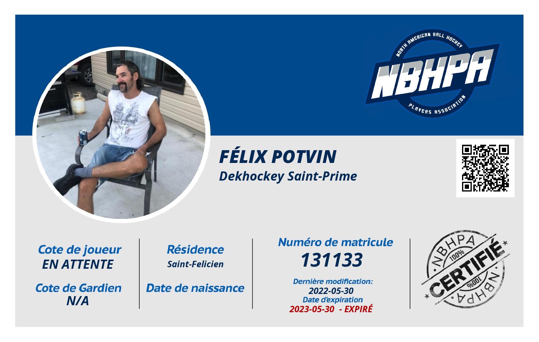 Félix Potvin