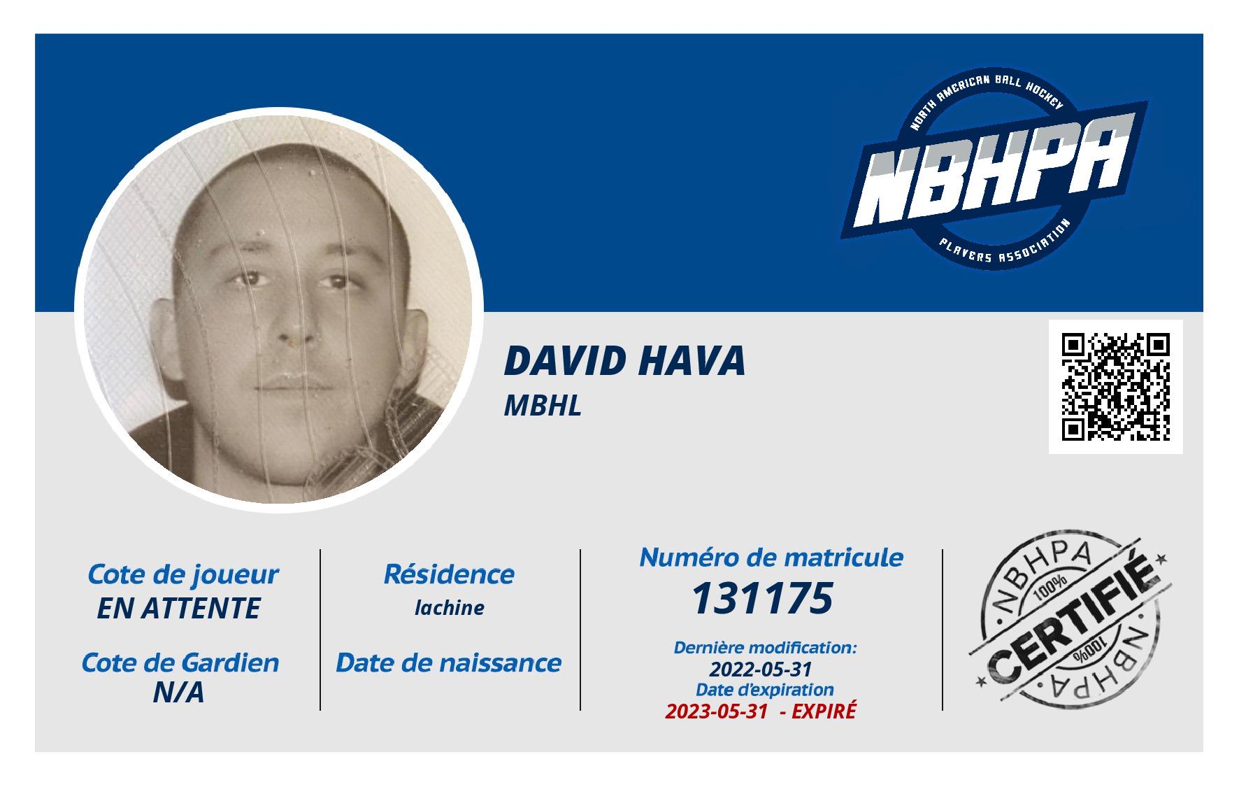 David Hava