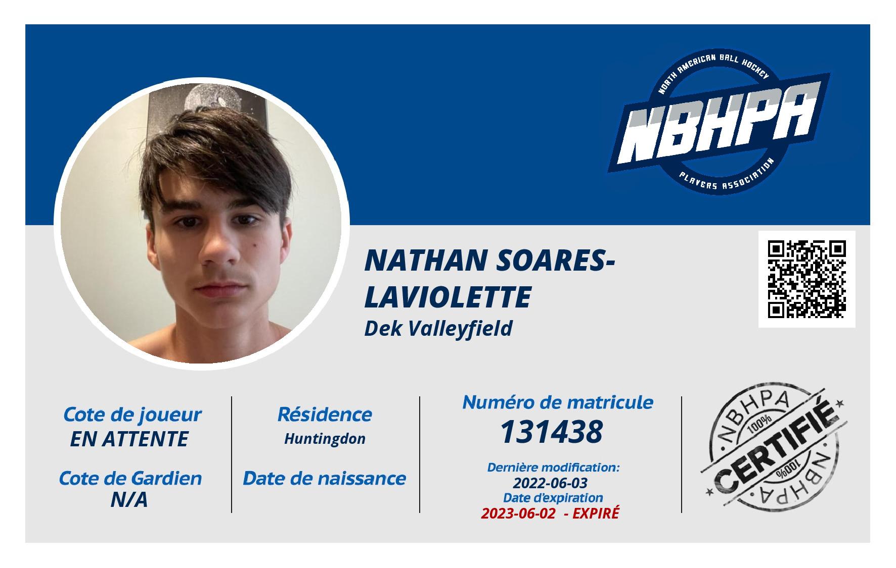 Nathan Soares-laviolette