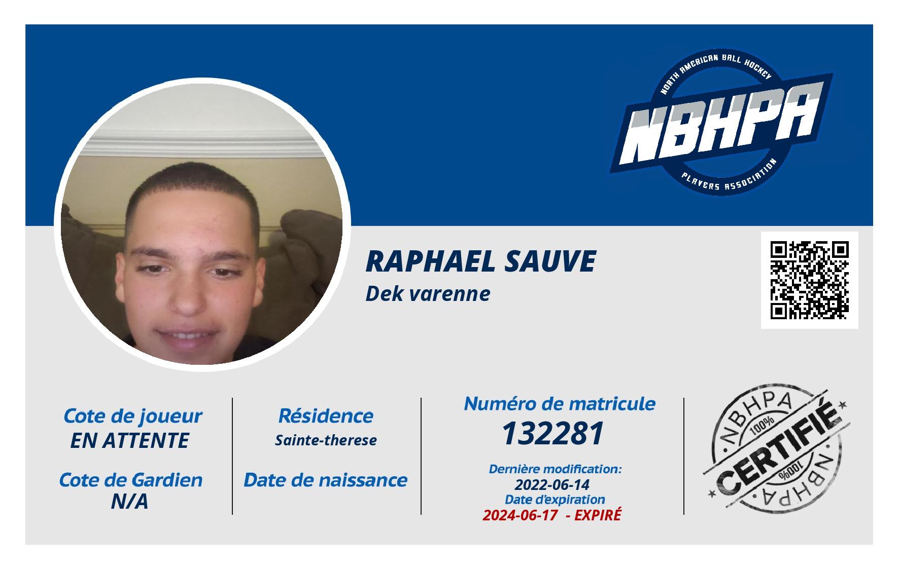 Raphael Sauve