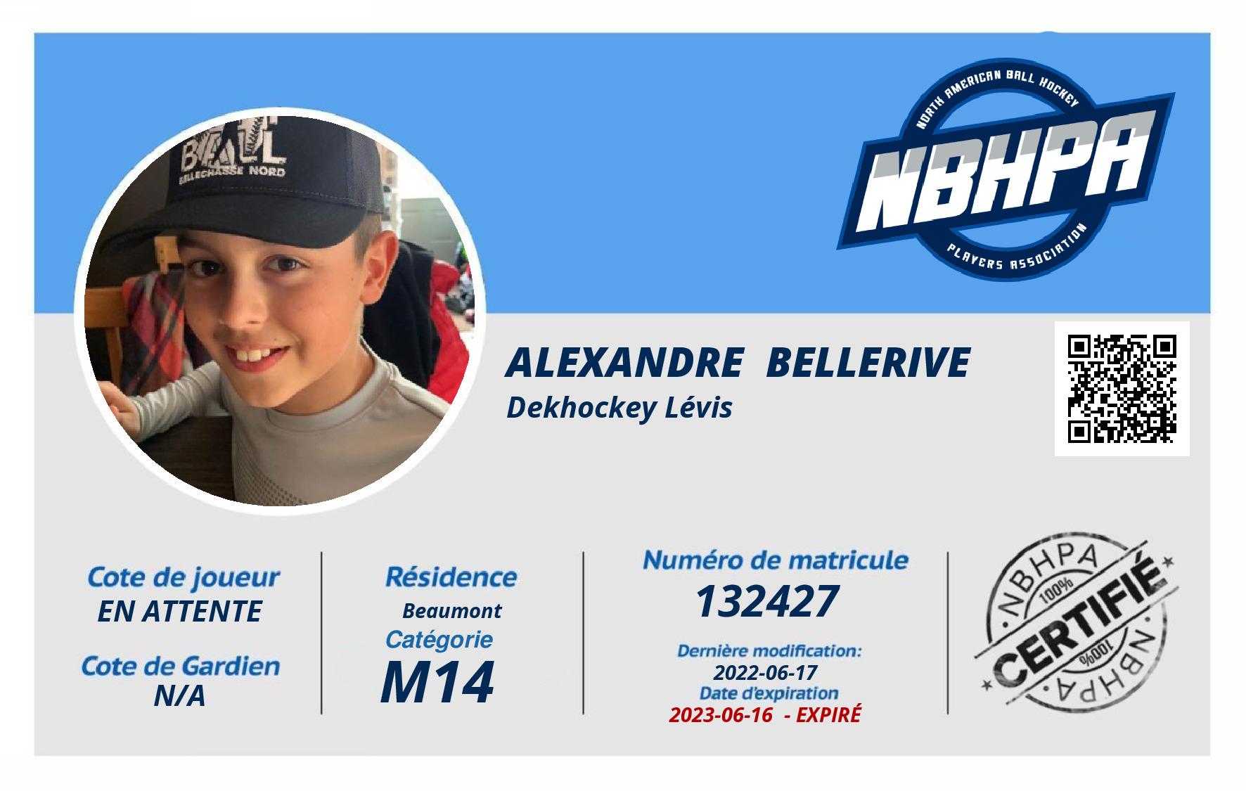 Alexandre  Bellerive 