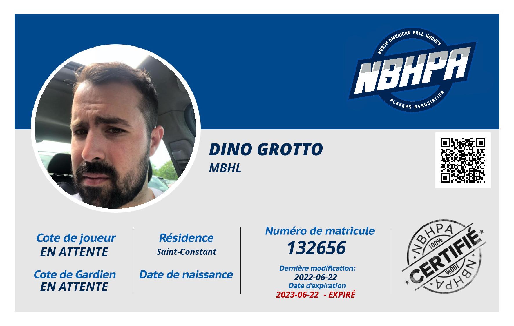 Dino Grotto
