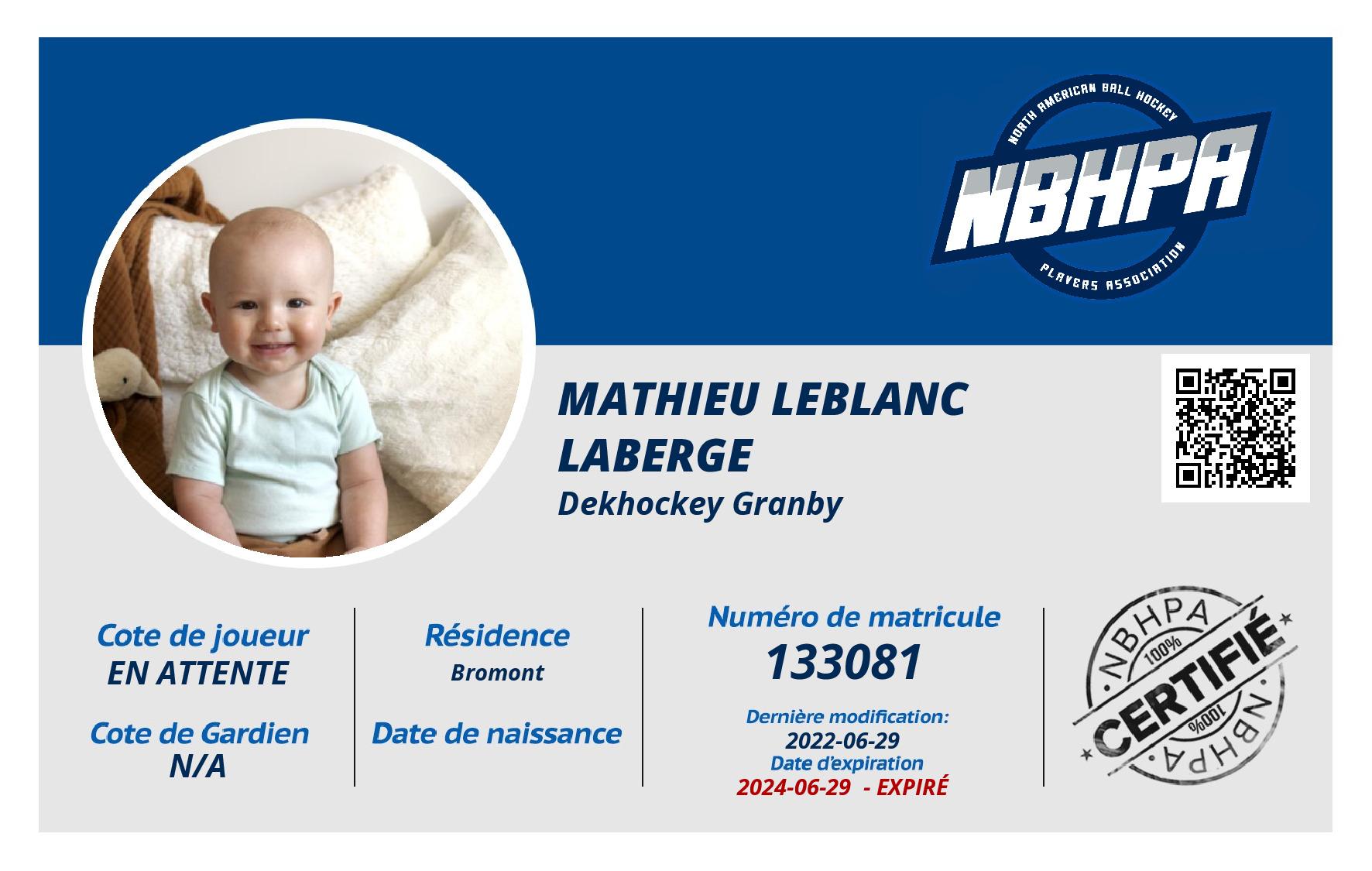 Mathieu Leblanc Laberge