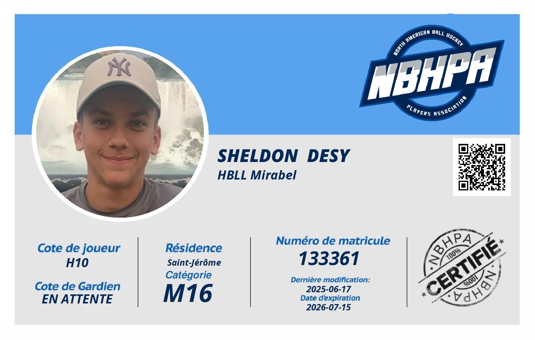 Sheldon  Desy