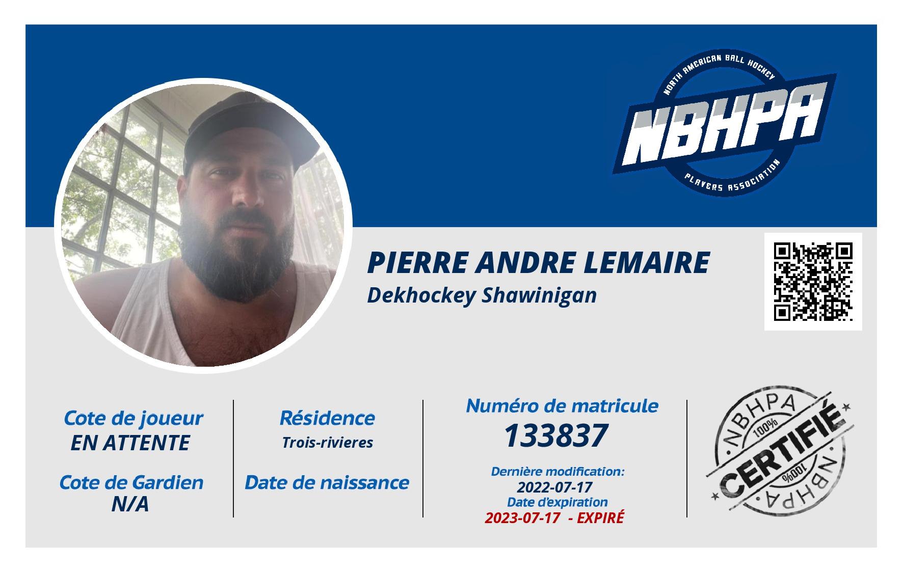 Pierre andre Lemaire 