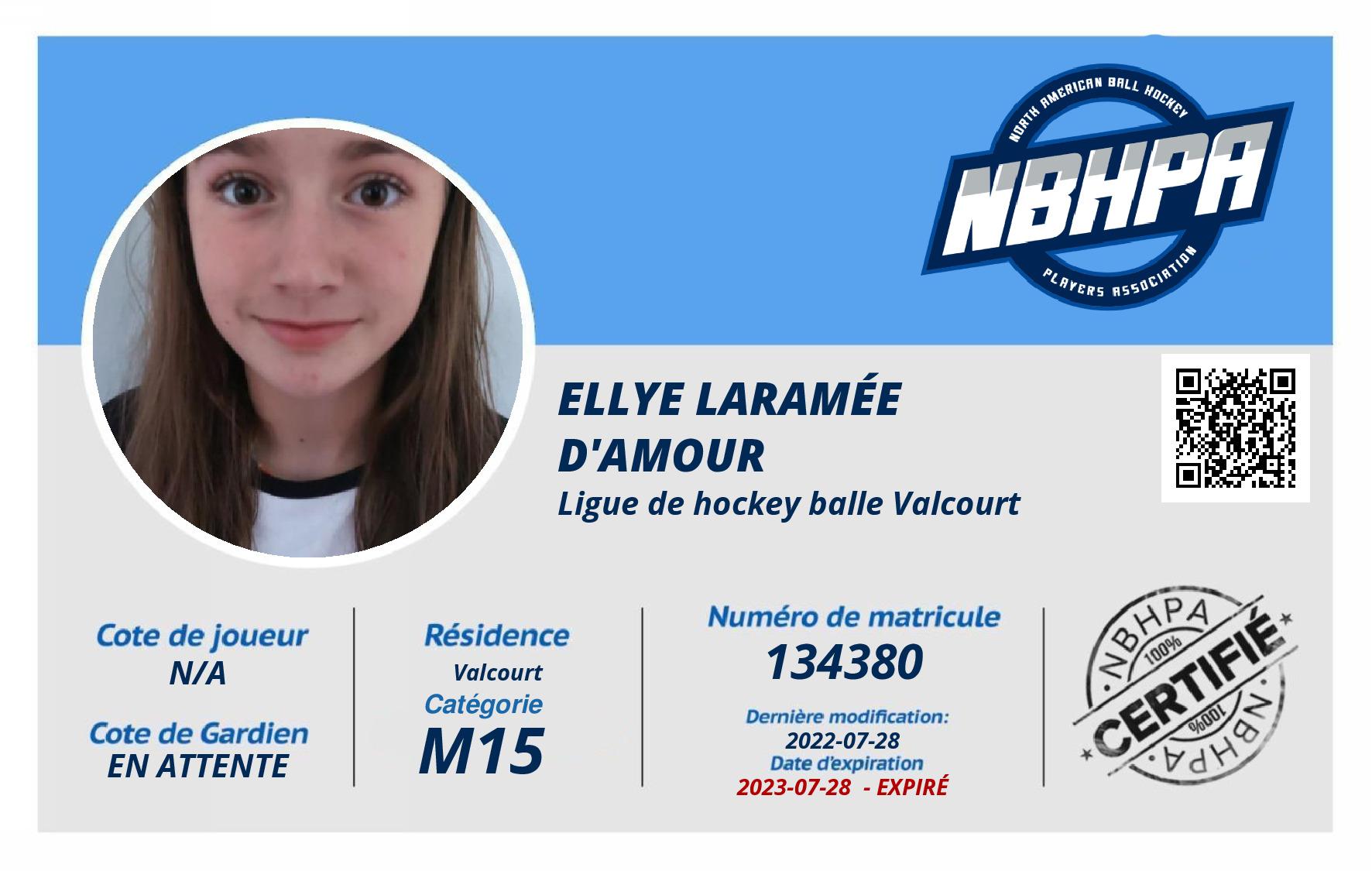 Ellye Laramée D'Amour