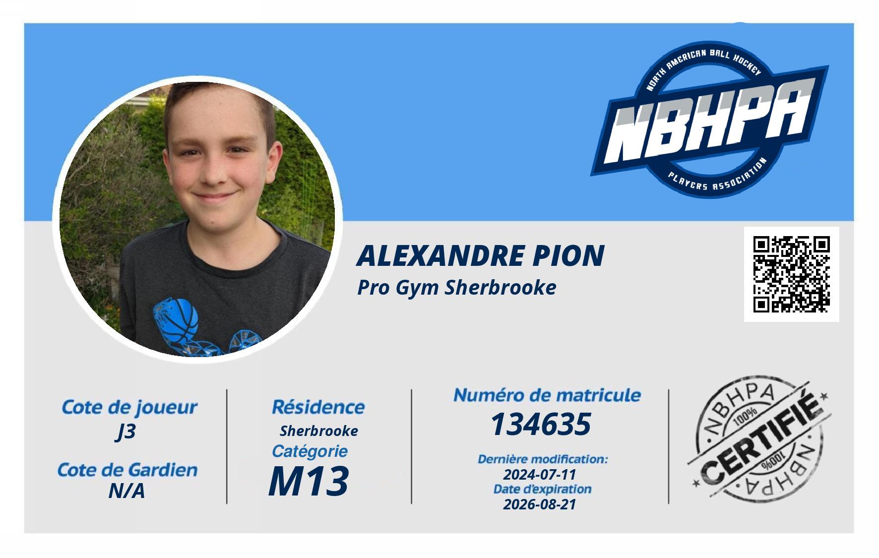 Alexandre Pion