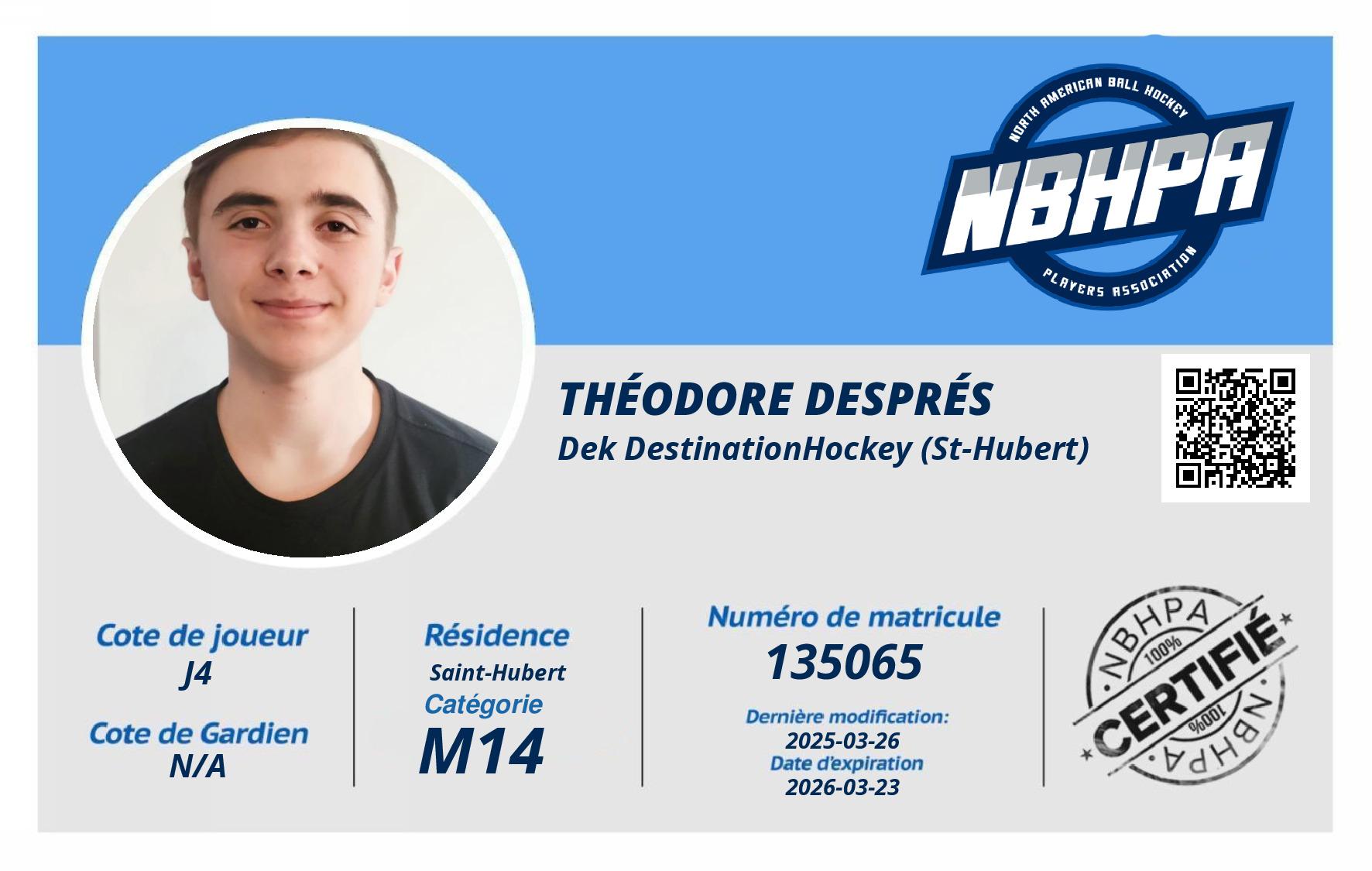 Théodore Després