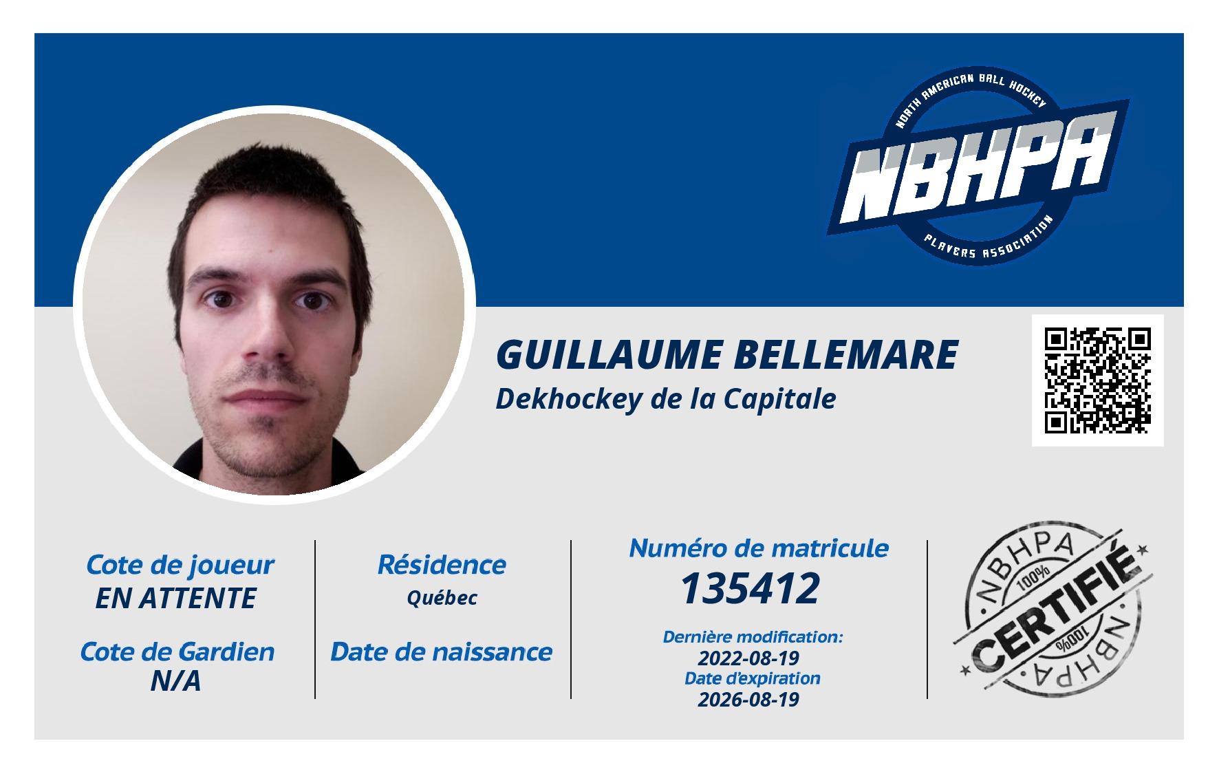 Guillaume Bellemare