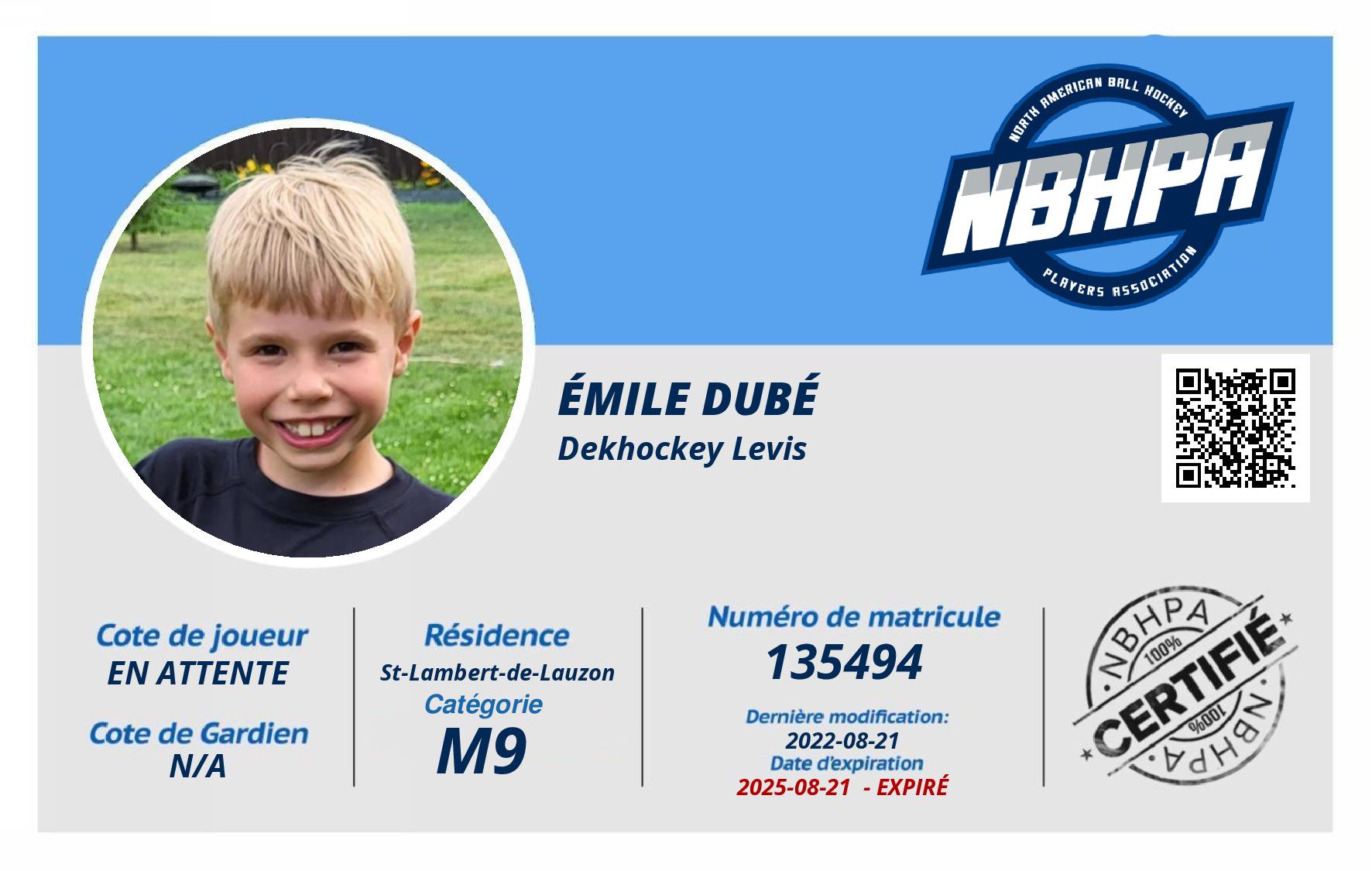 Émile Dubé