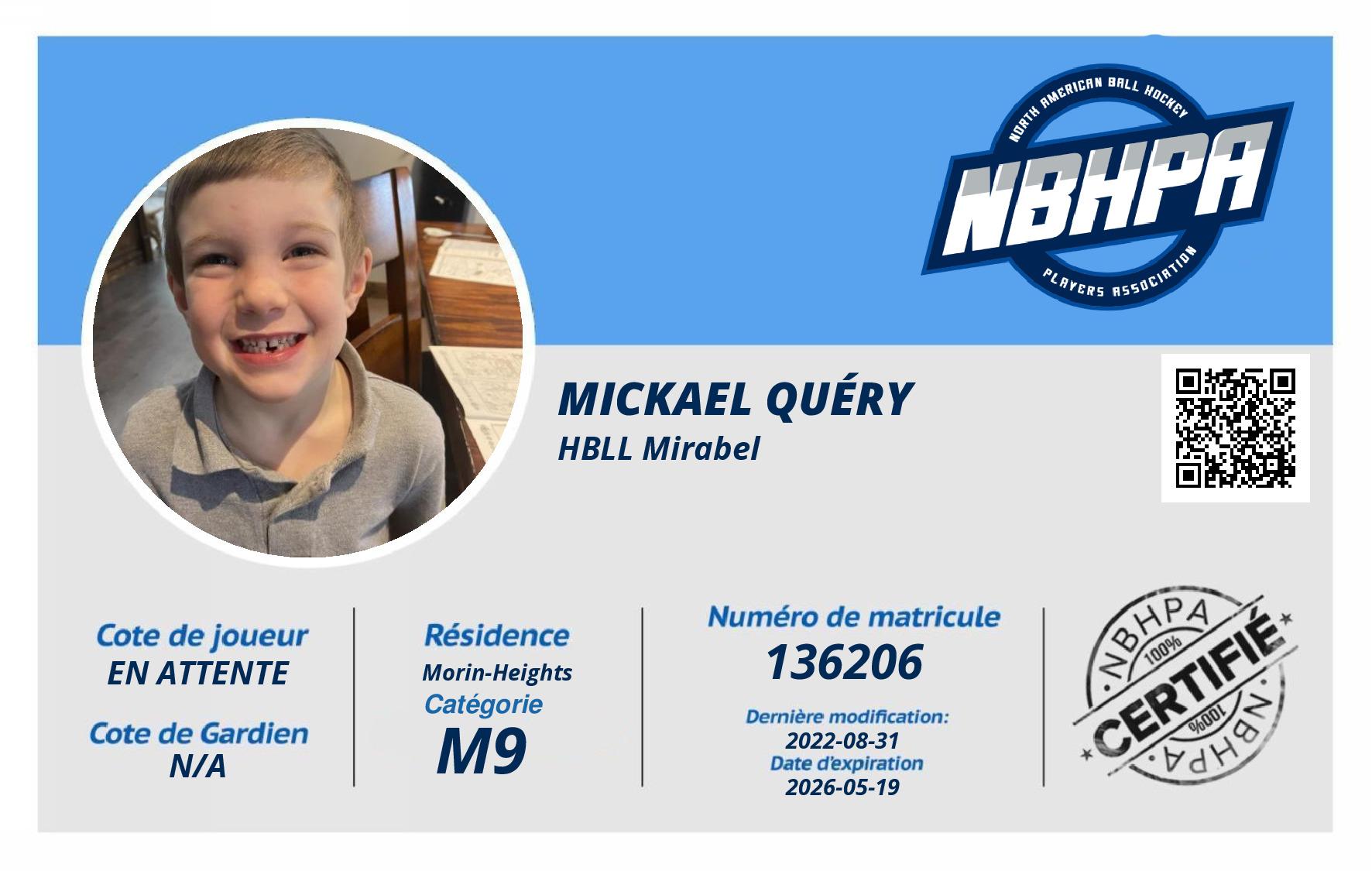Mickael Quéry