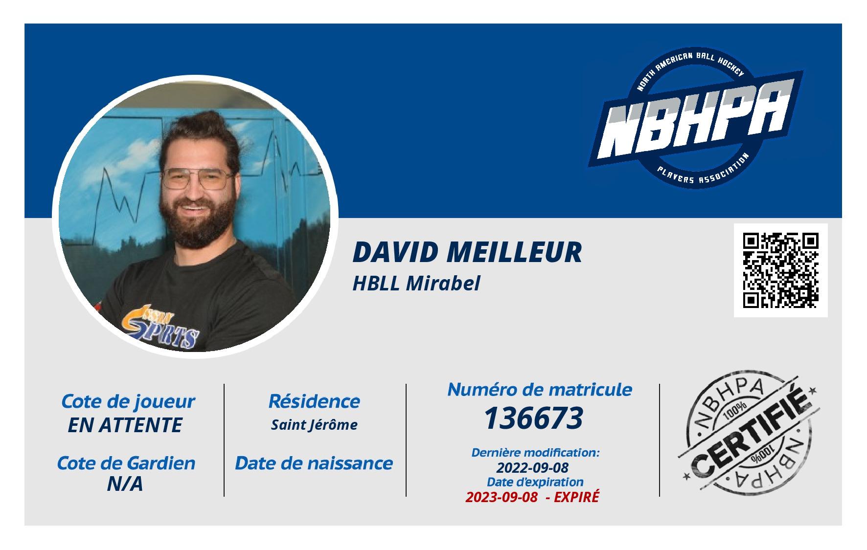 David Meilleur