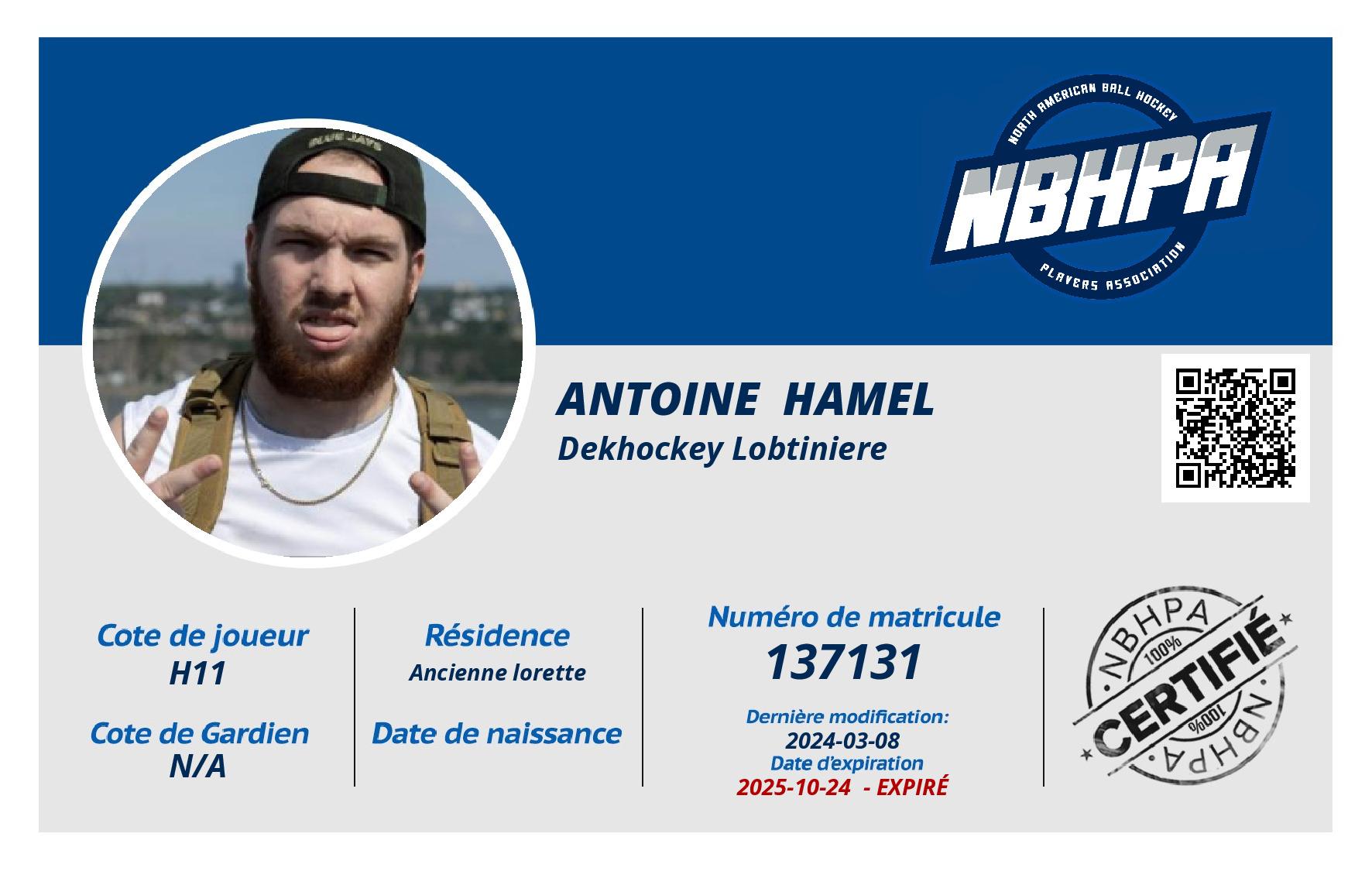 Antoine  Hamel