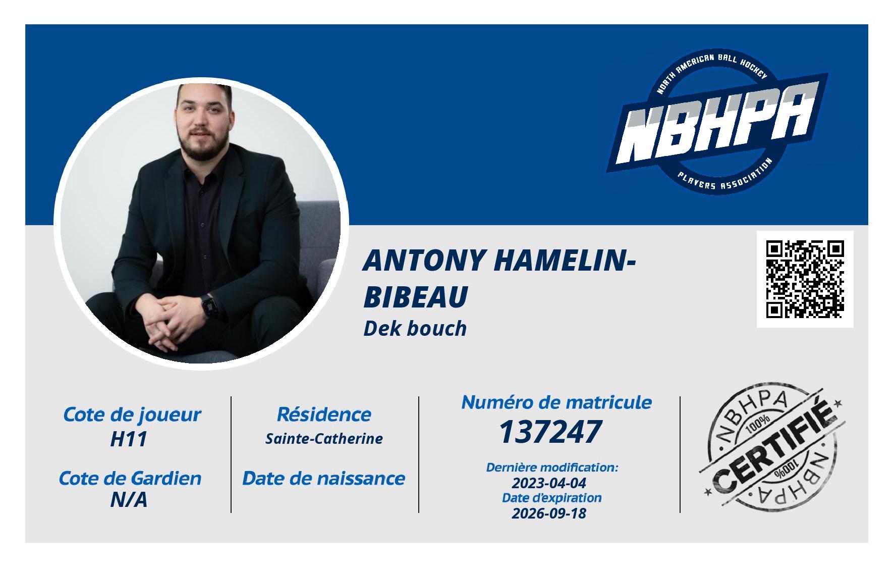 Antony Hamelin-Bibeau