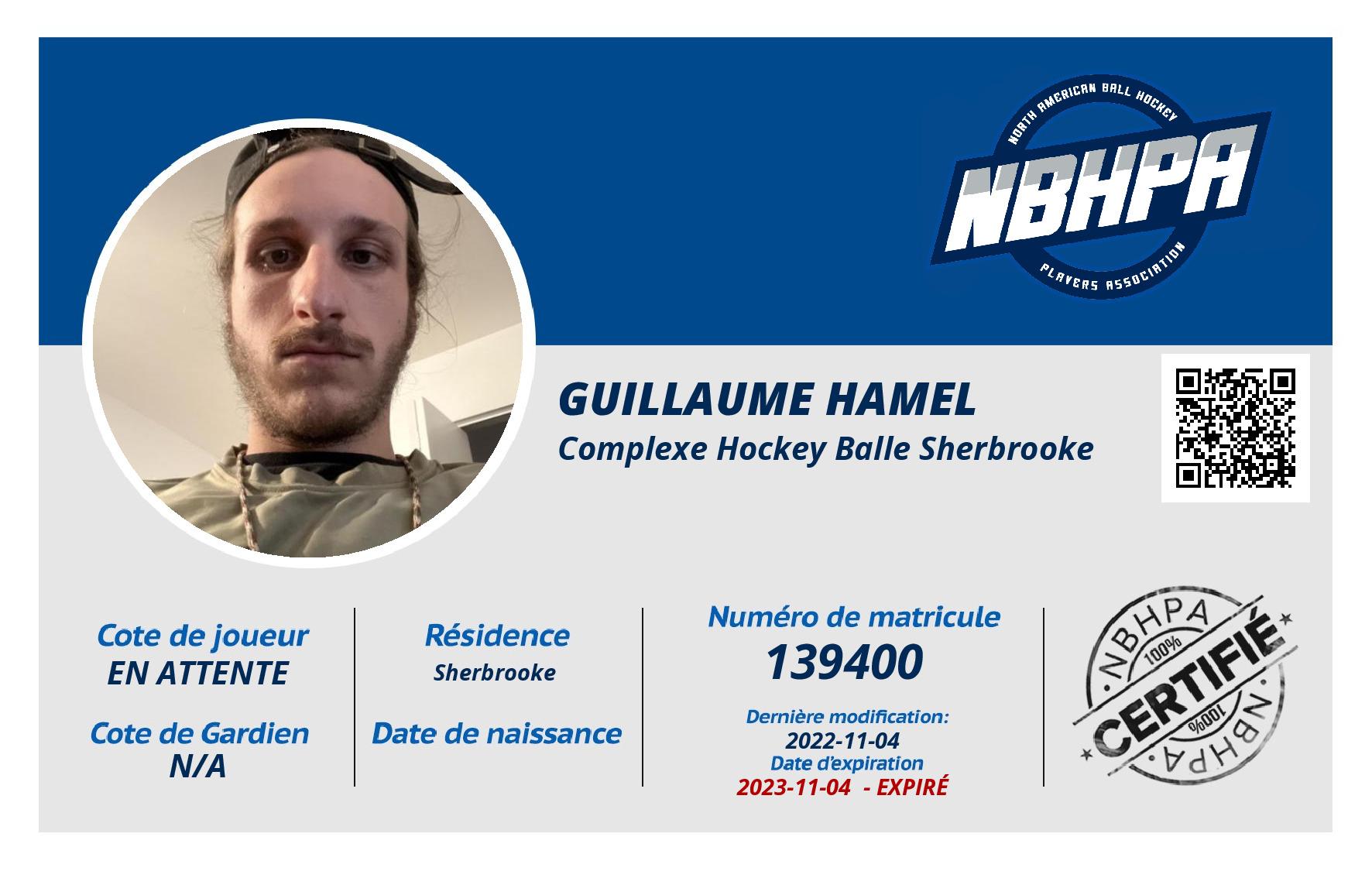 Guillaume Hamel