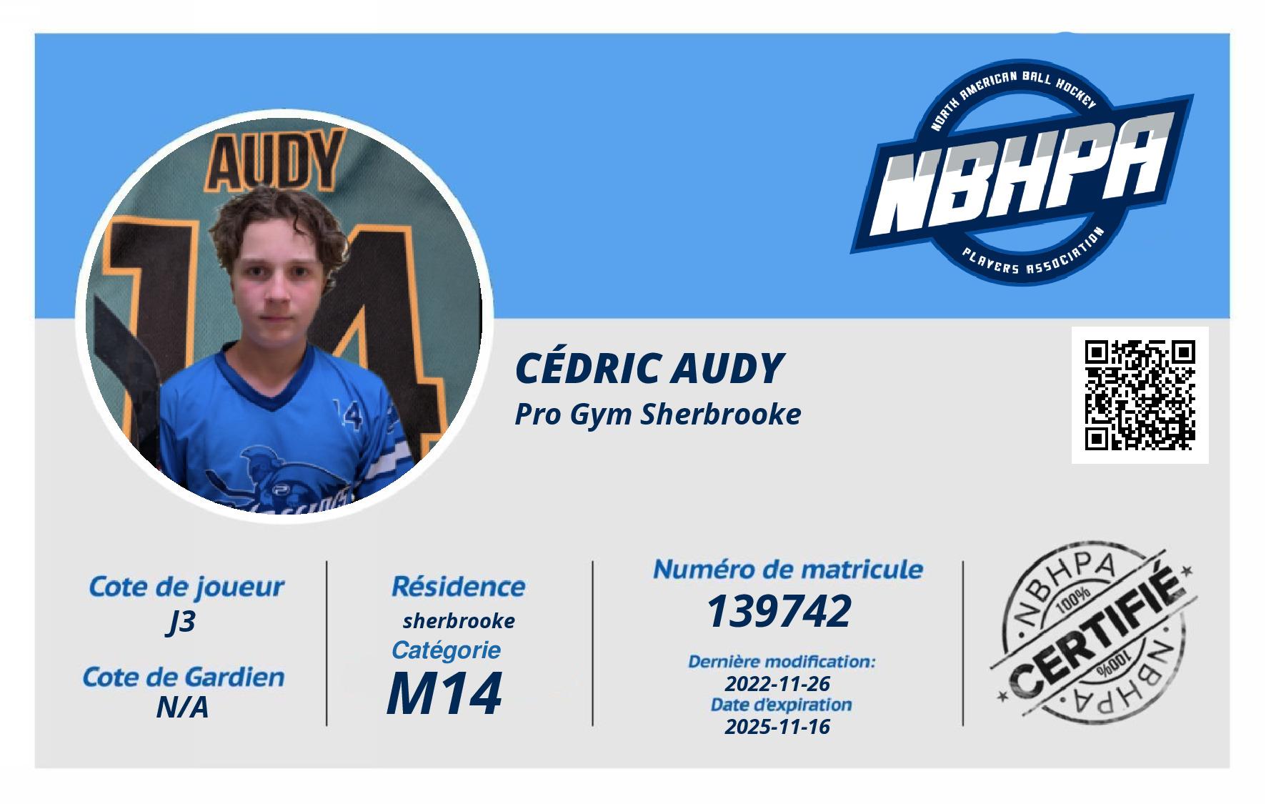 Cédric Audy