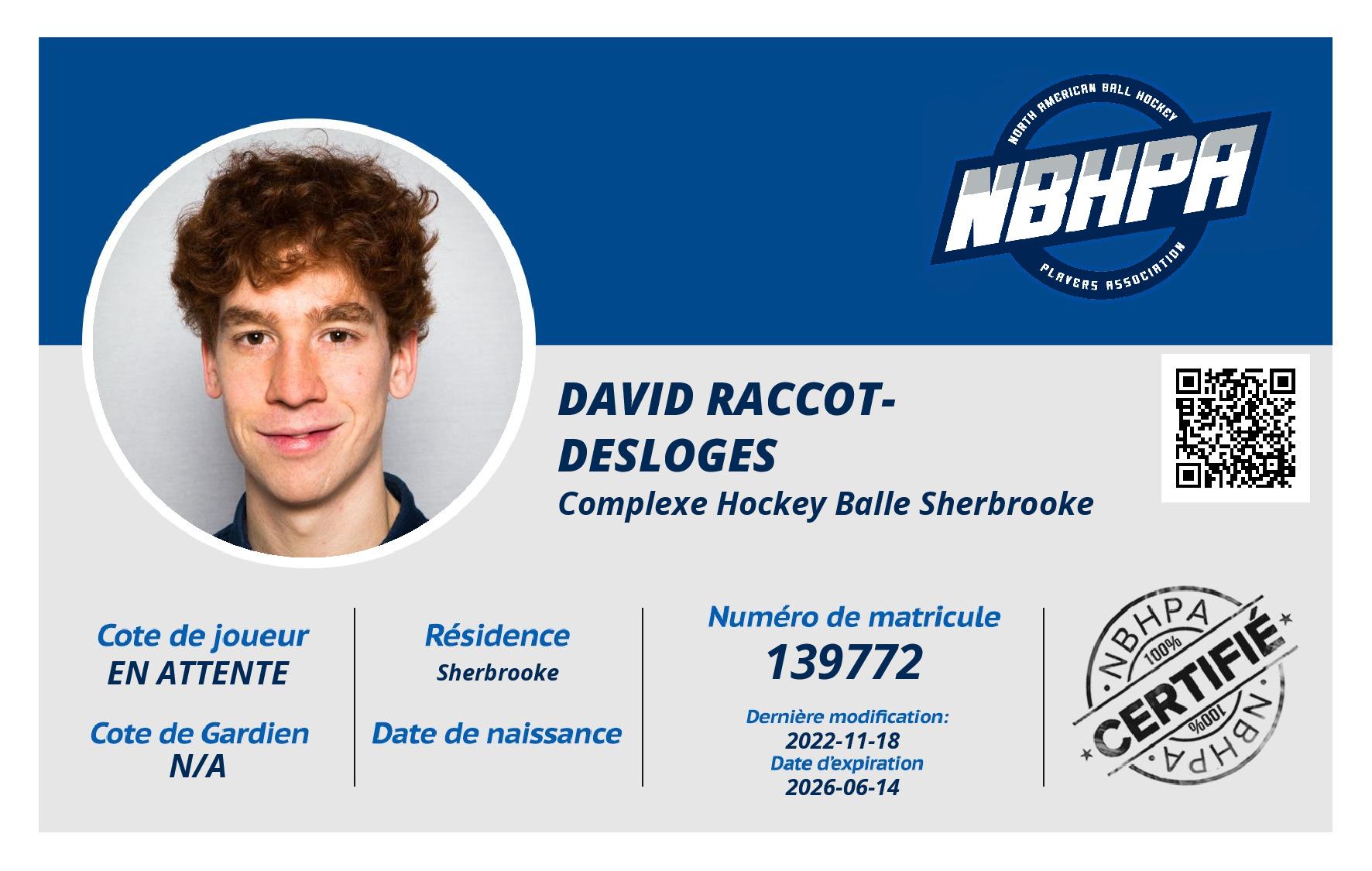 David Raccot-Desloges