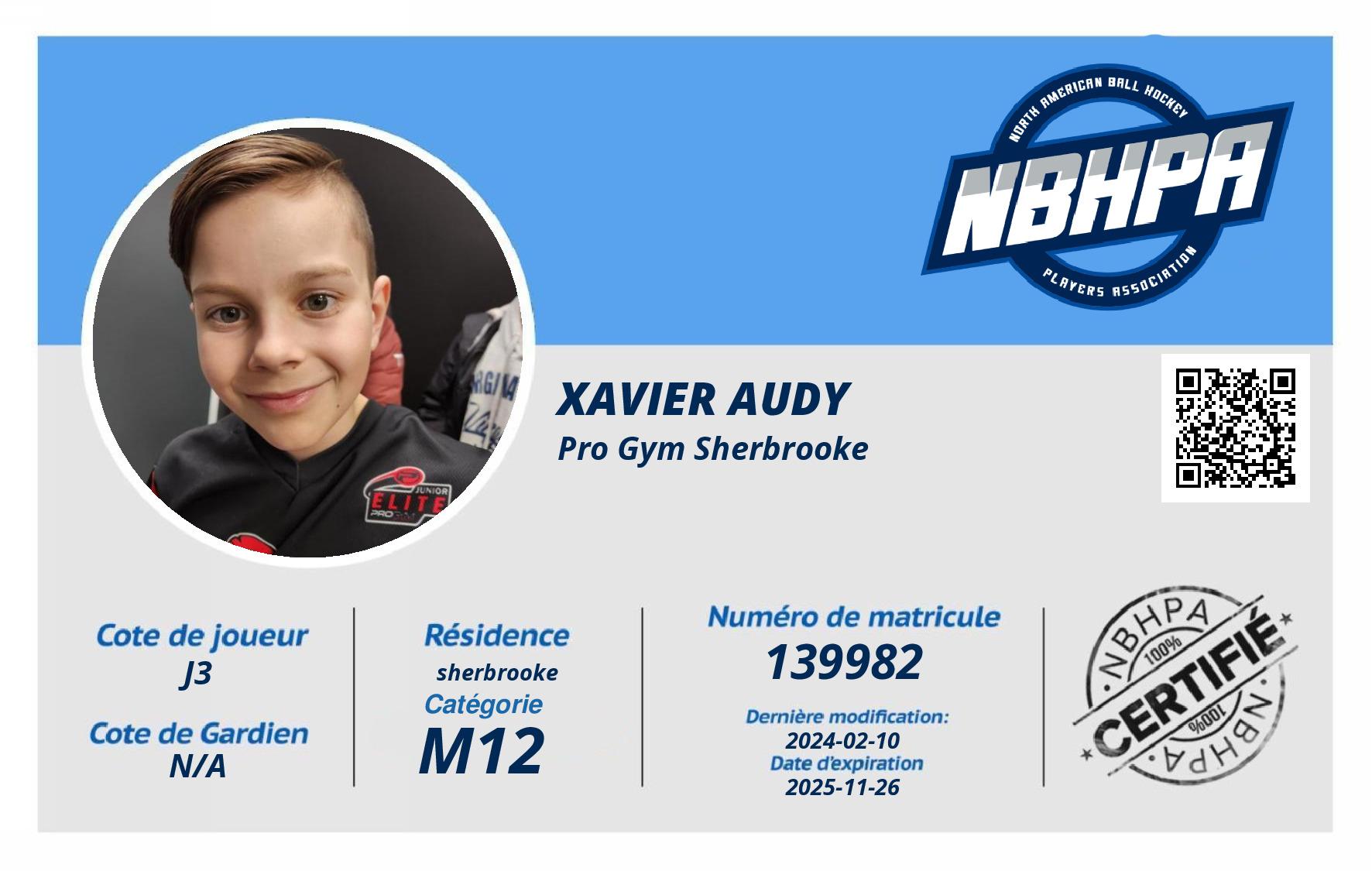 Xavier Audy