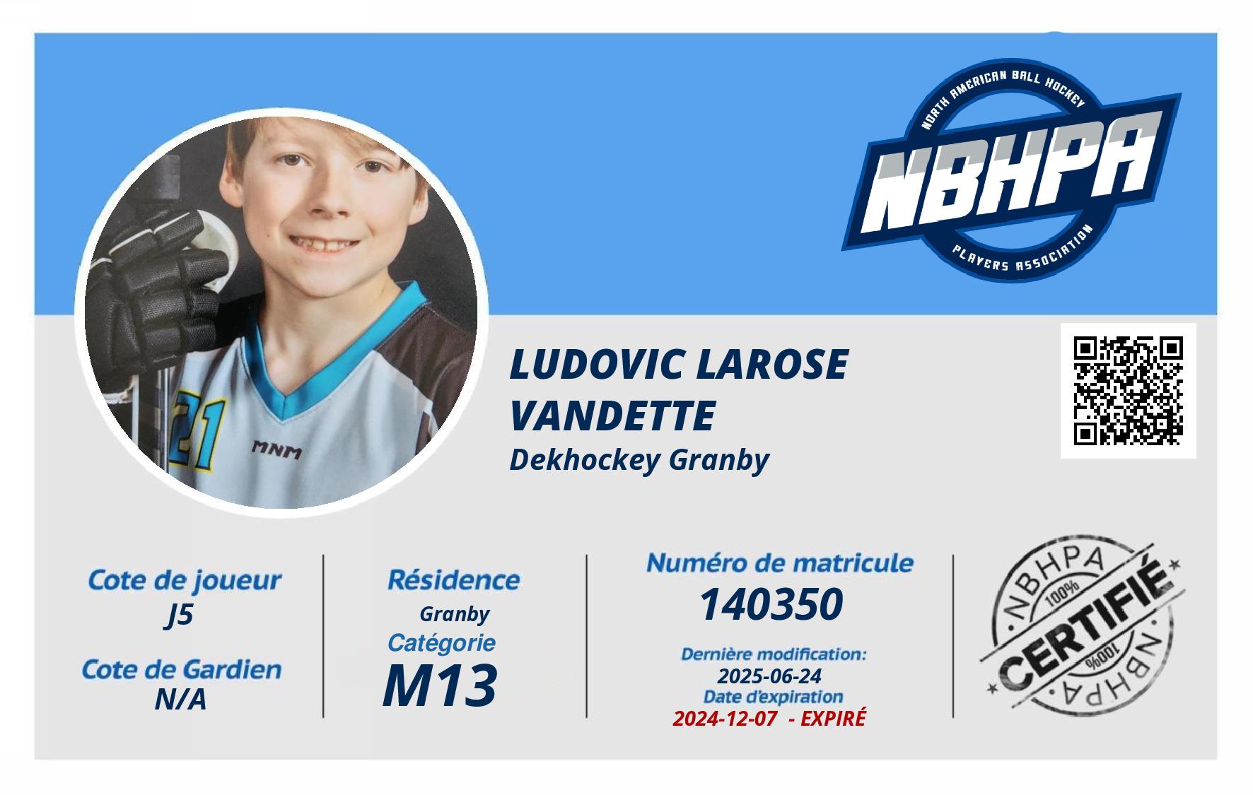 Ludovic Larose Vandette