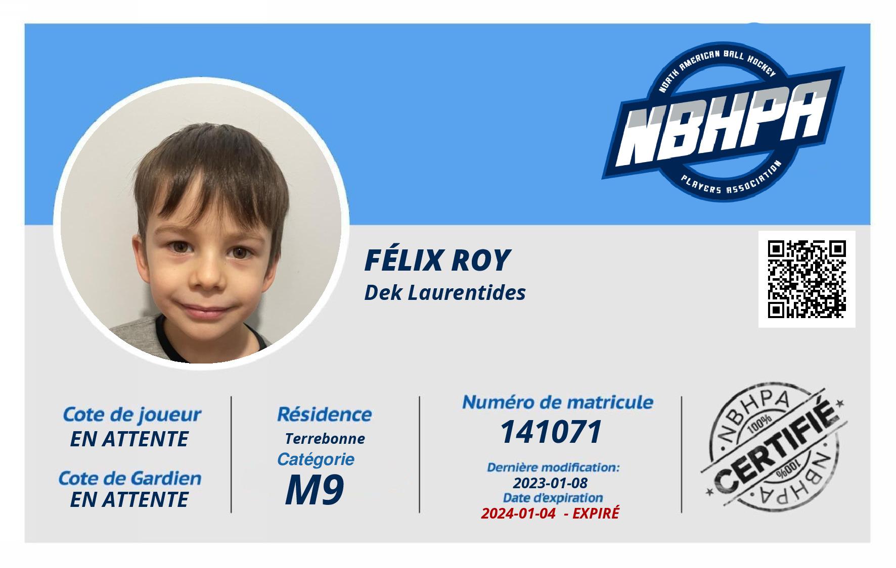 Félix Roy