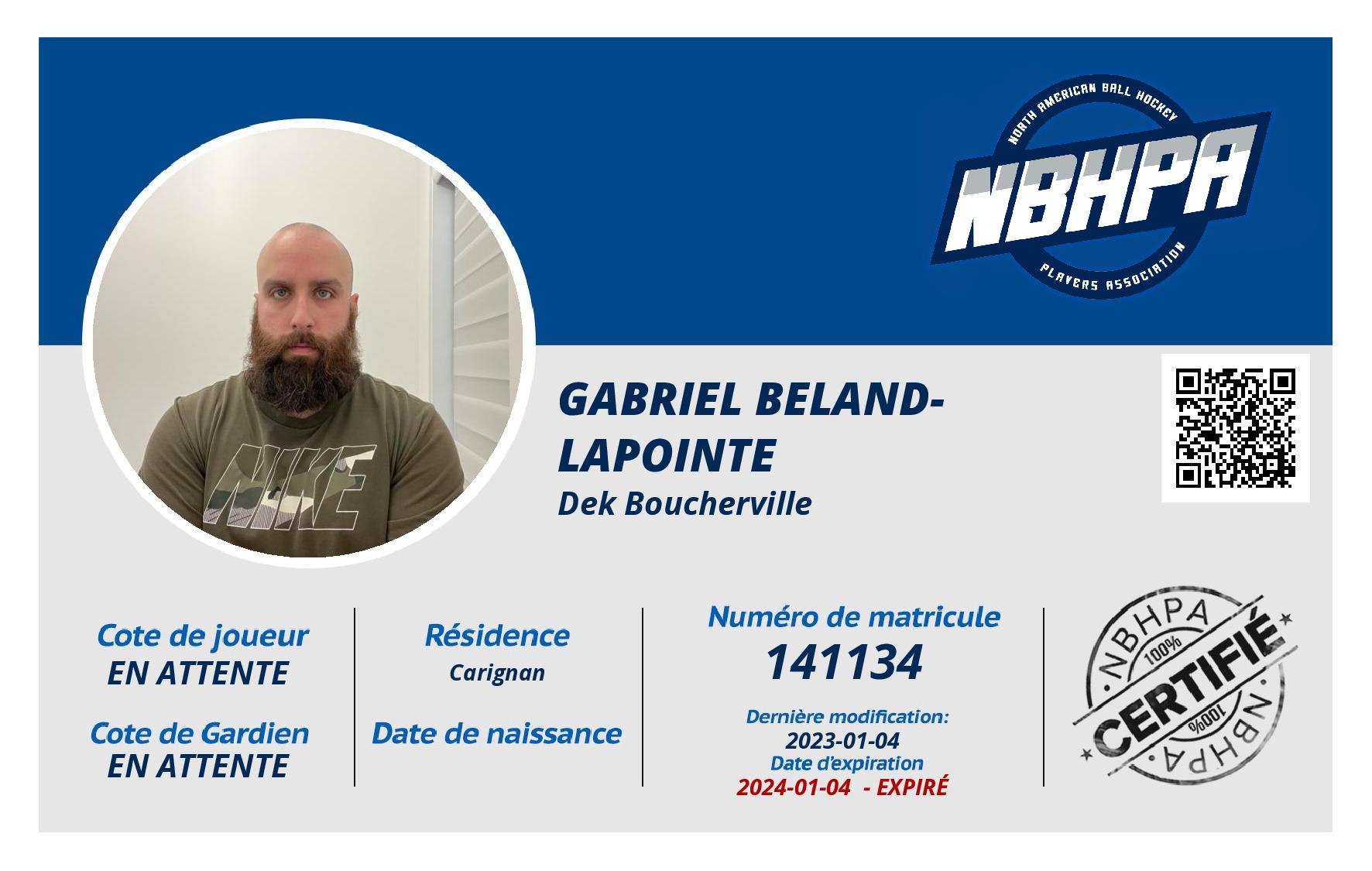 Gabriel Beland-Lapointe