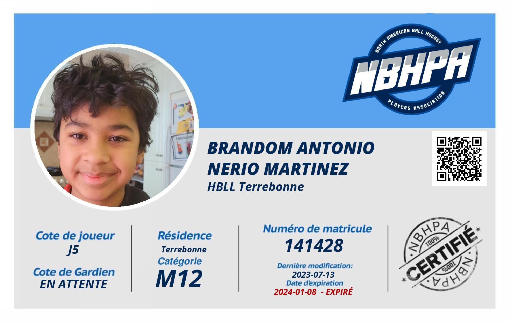 Brandom Antonio Nerio Martinez 