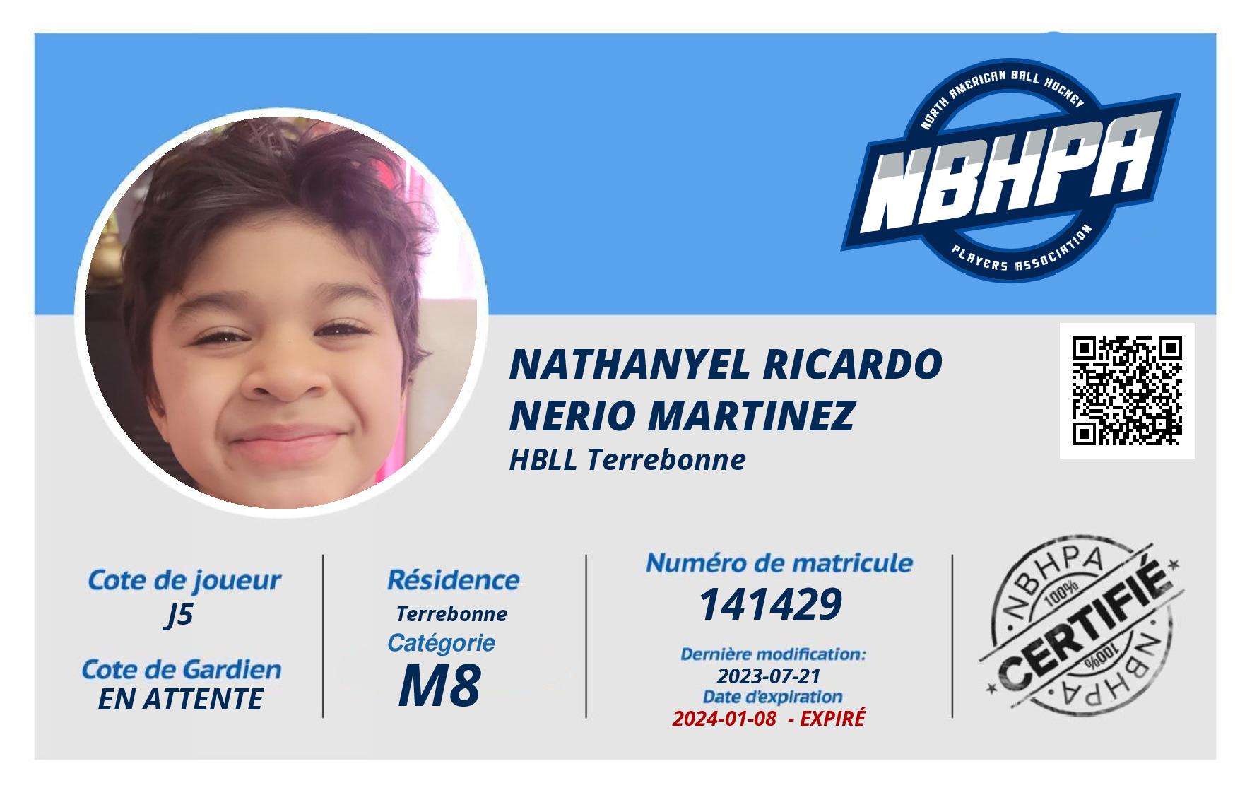Nathanyel Ricardo  Nerio Martinez 