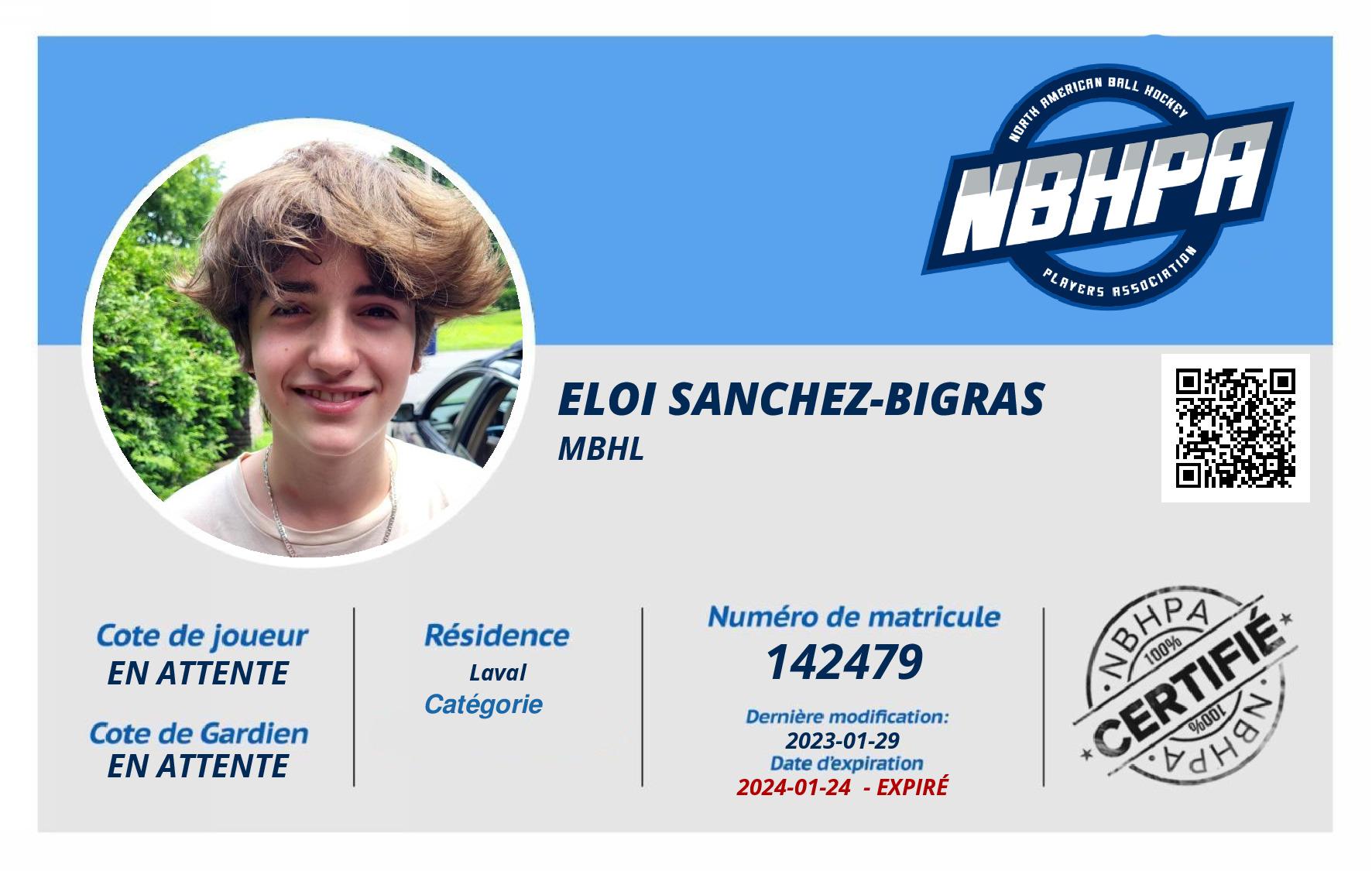 Eloi Sanchez-Bigras