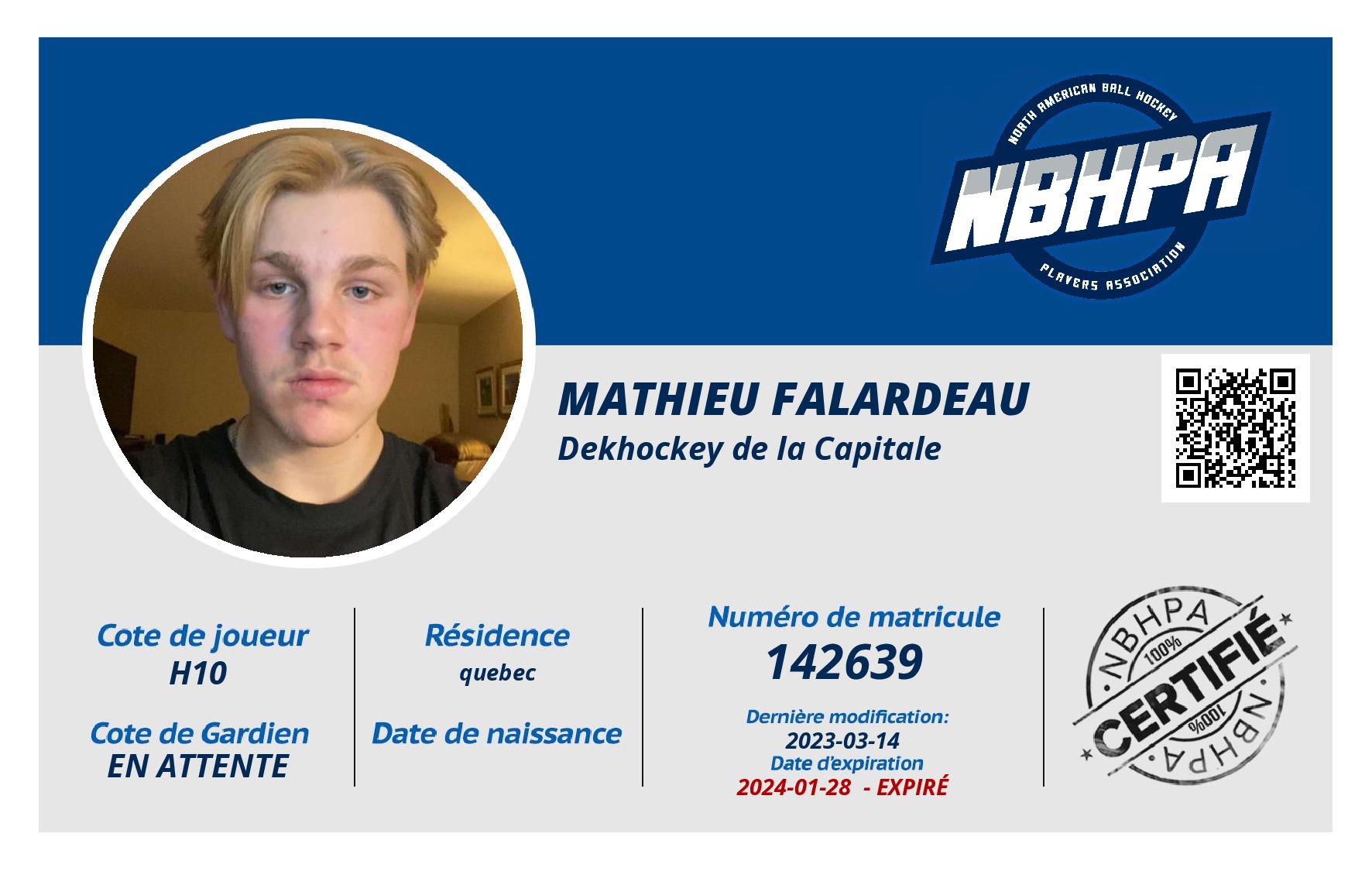 Mathieu Falardeau