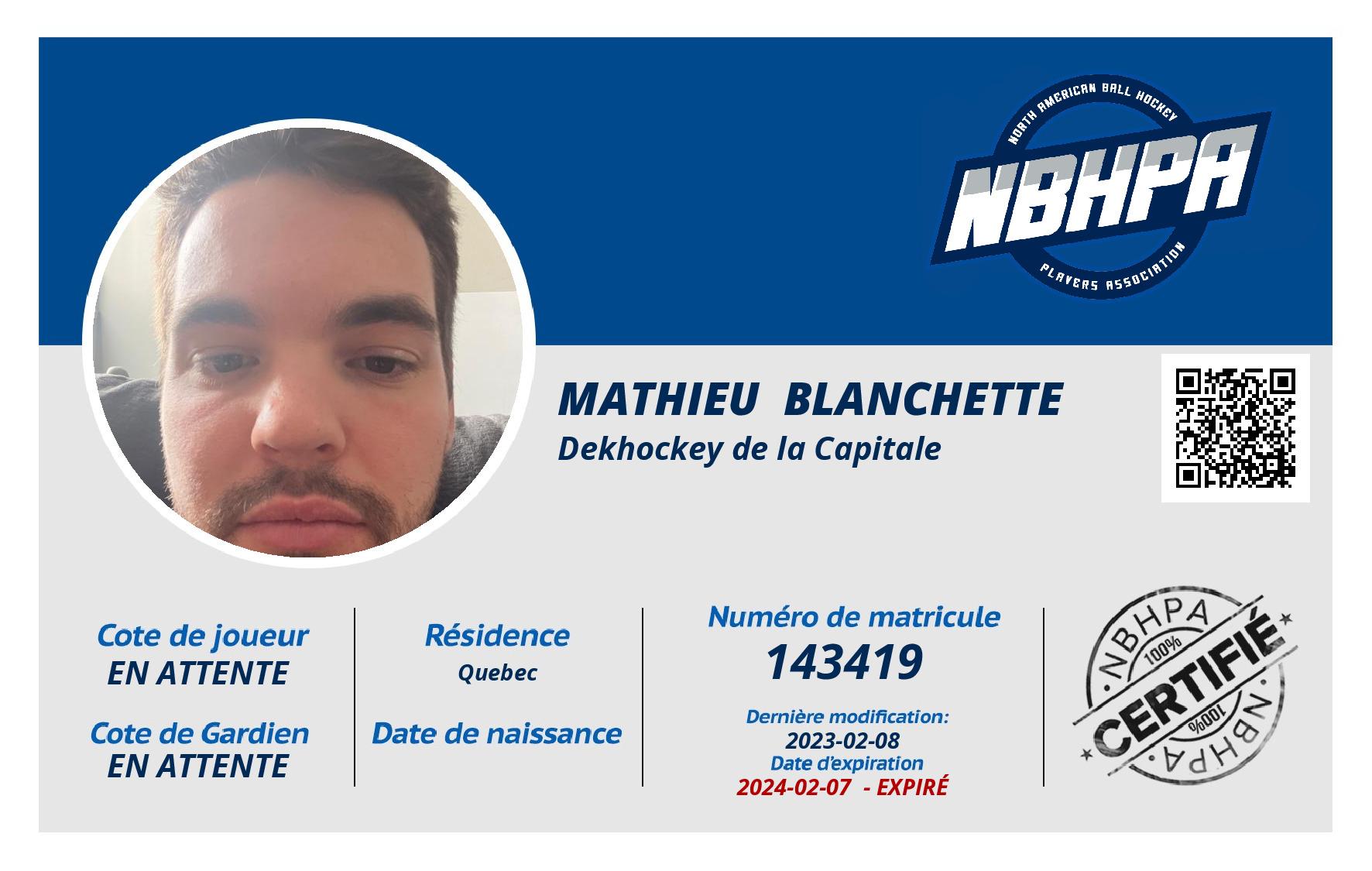 Mathieu  Blanchette