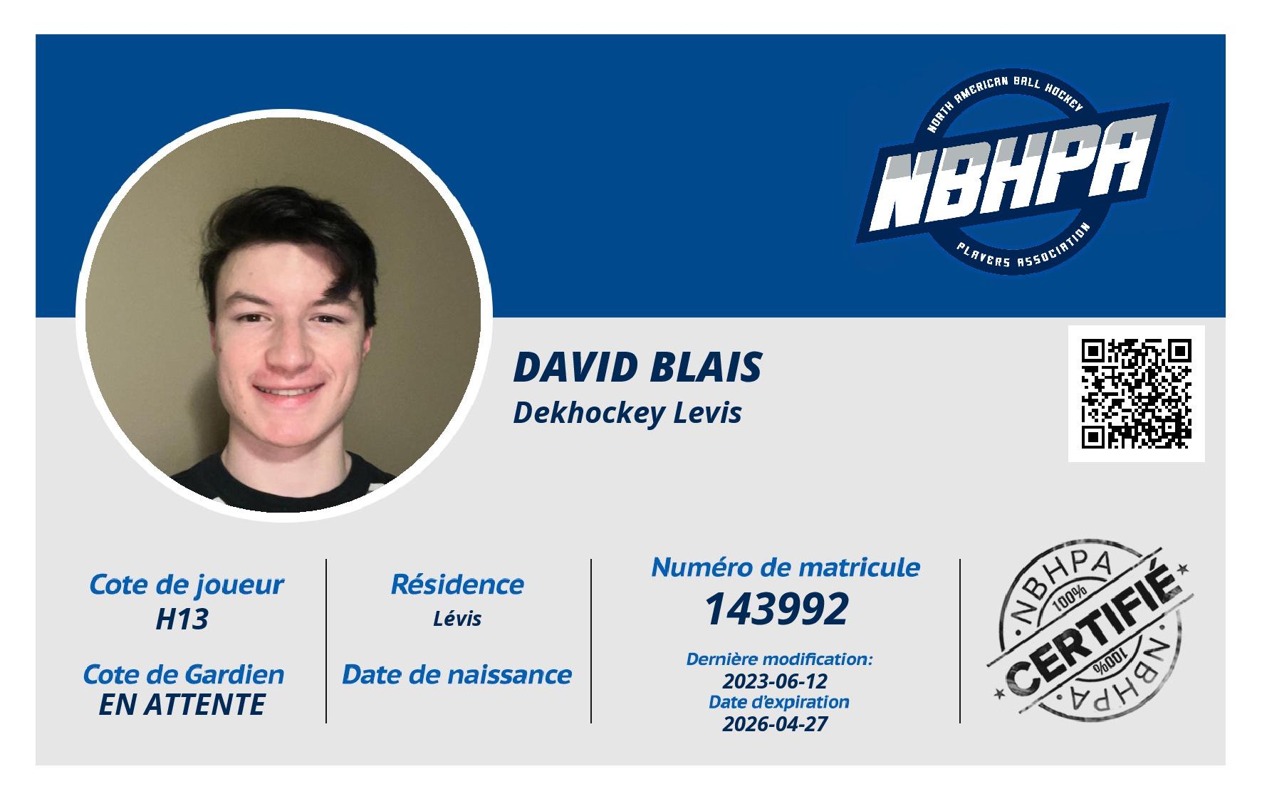 David Blais