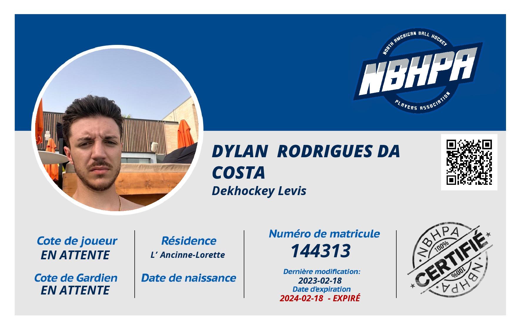 Dylan  Rodrigues Da Costa 