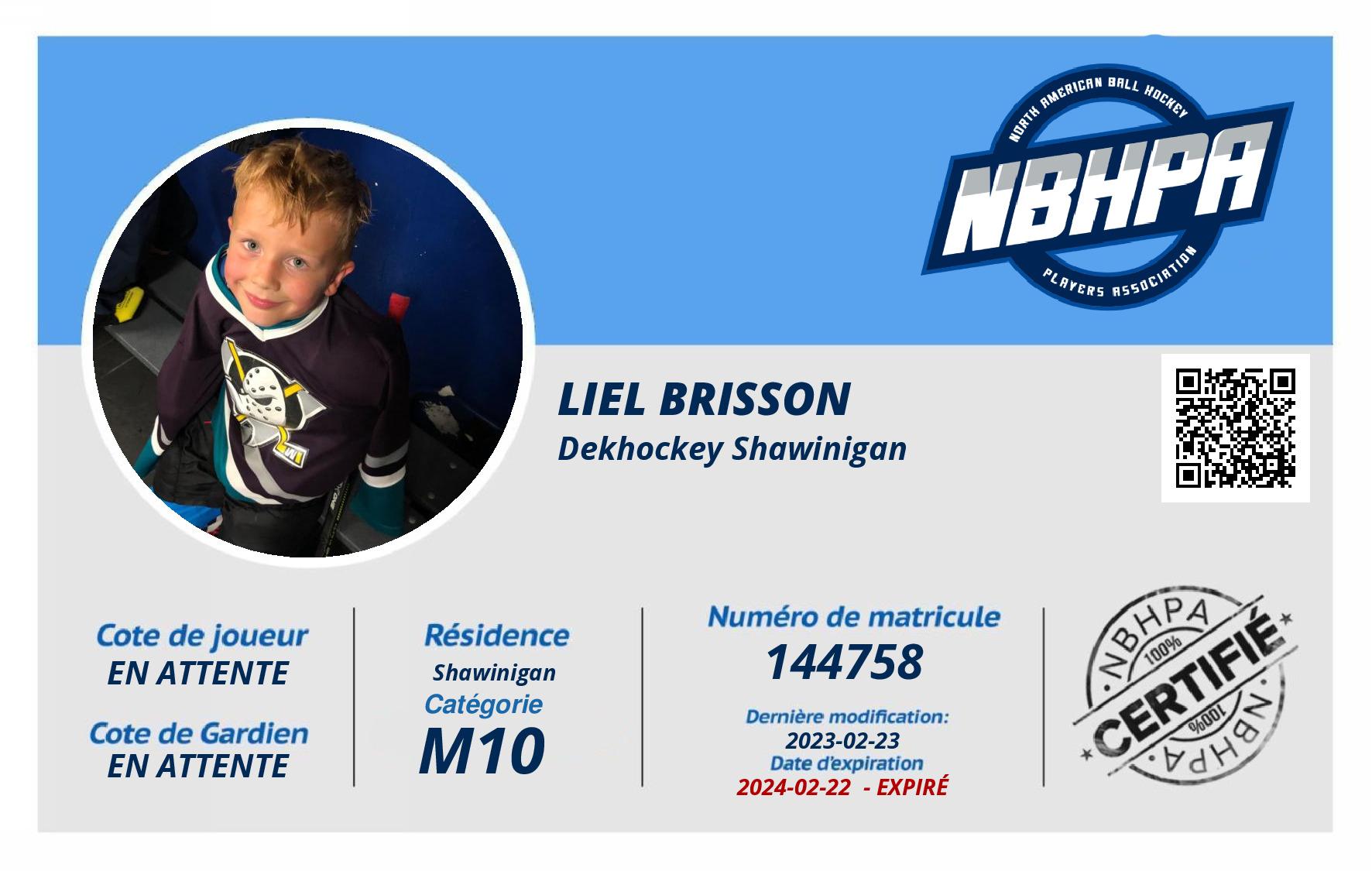 Liel Brisson
