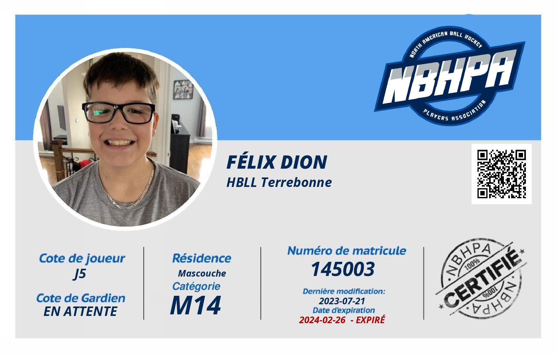 Félix Dion